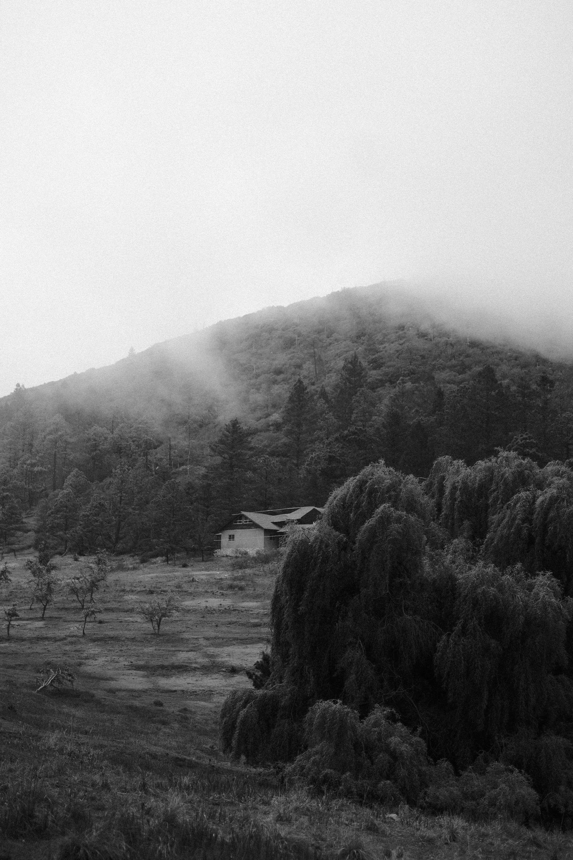 Jimena & Daniel - abgraph.mx - bnw-26.jpg