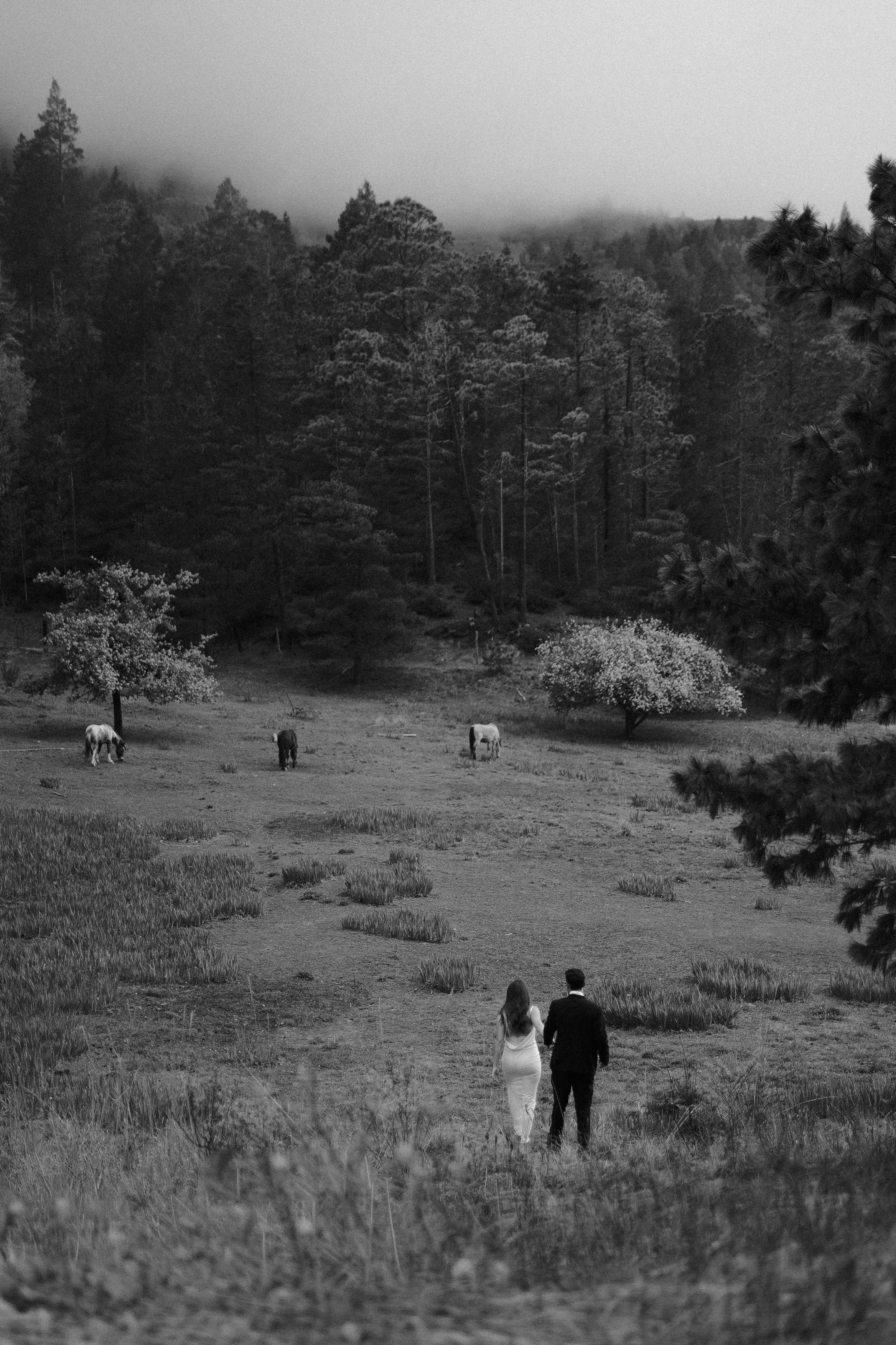 Jimena & Daniel - abgraph.mx - bnw-39.jpg