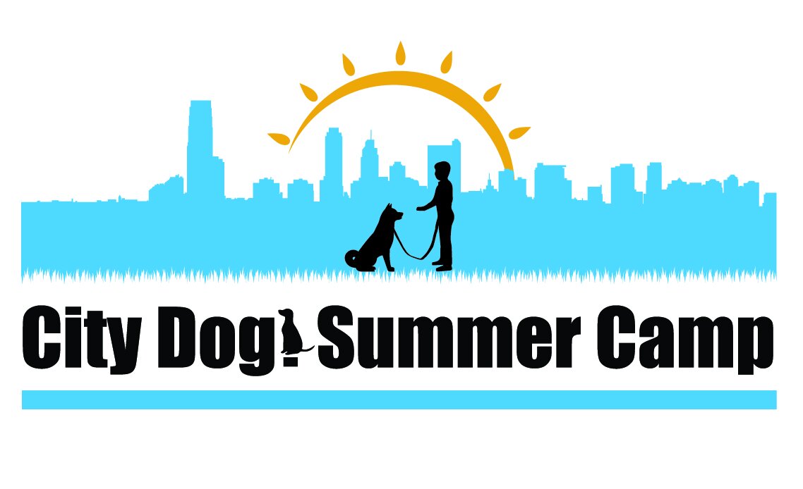 City Dog! Summer Camp