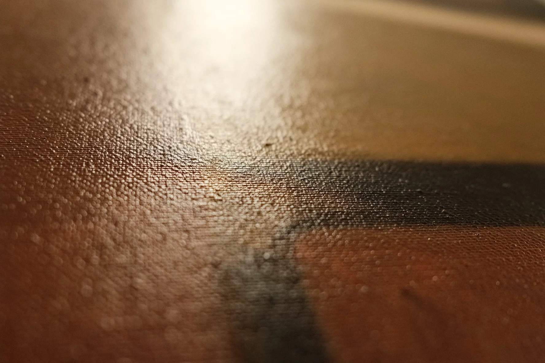 DSCF3901.JPG