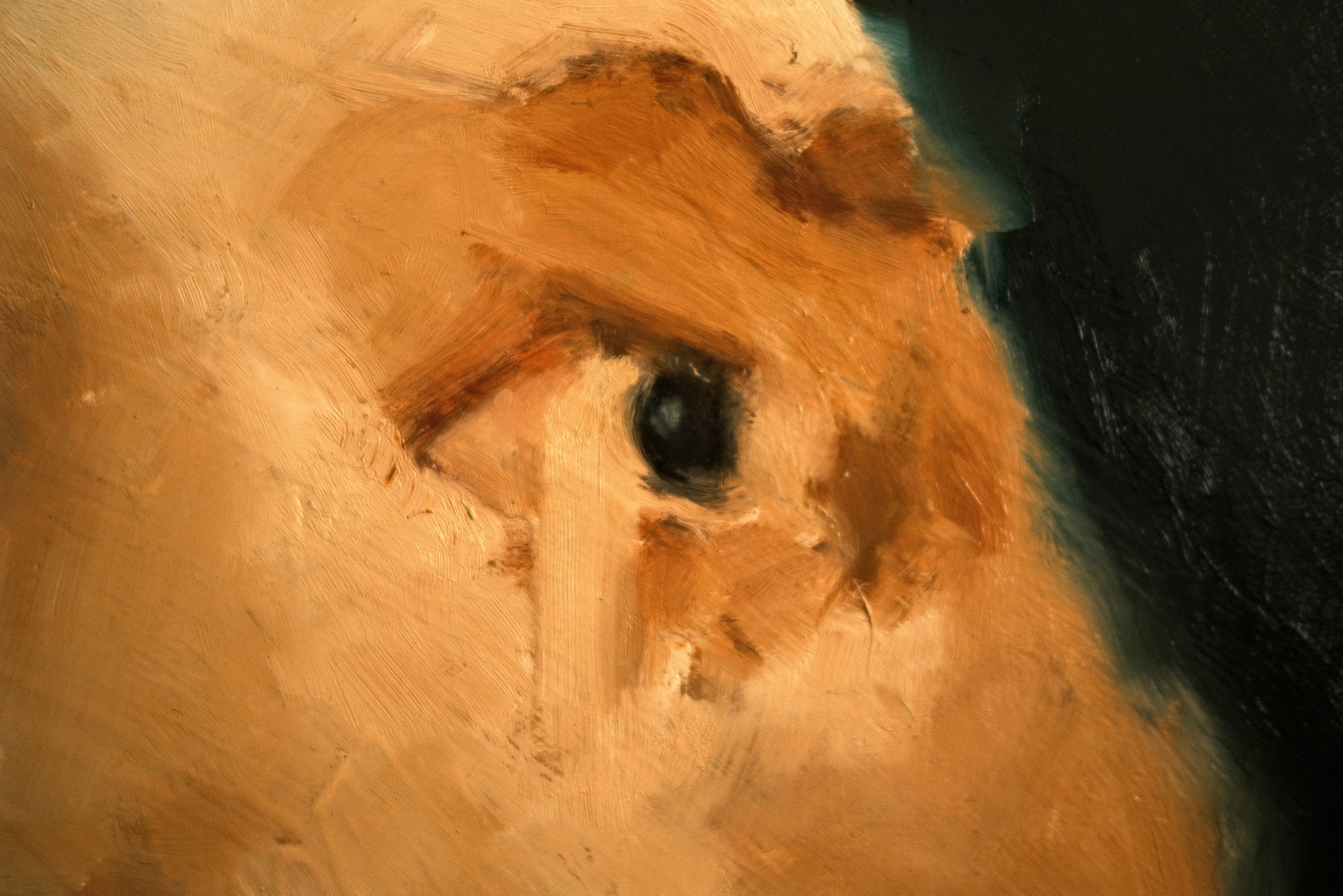 DSCF4886.JPG