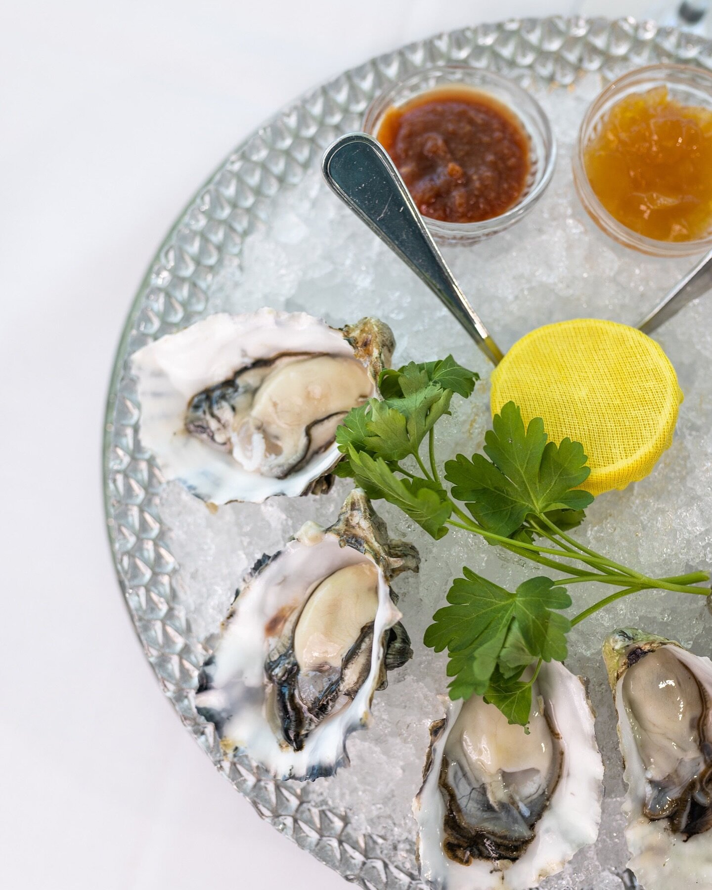 Savor the moment with our chilled and fresh oysters, the perfect way to unwind. 

Dive into indulgence during our daily happy hour from 11am to 10pm. 🍴✨ 

#PESCAWaikikiBeach #WaikikiDining