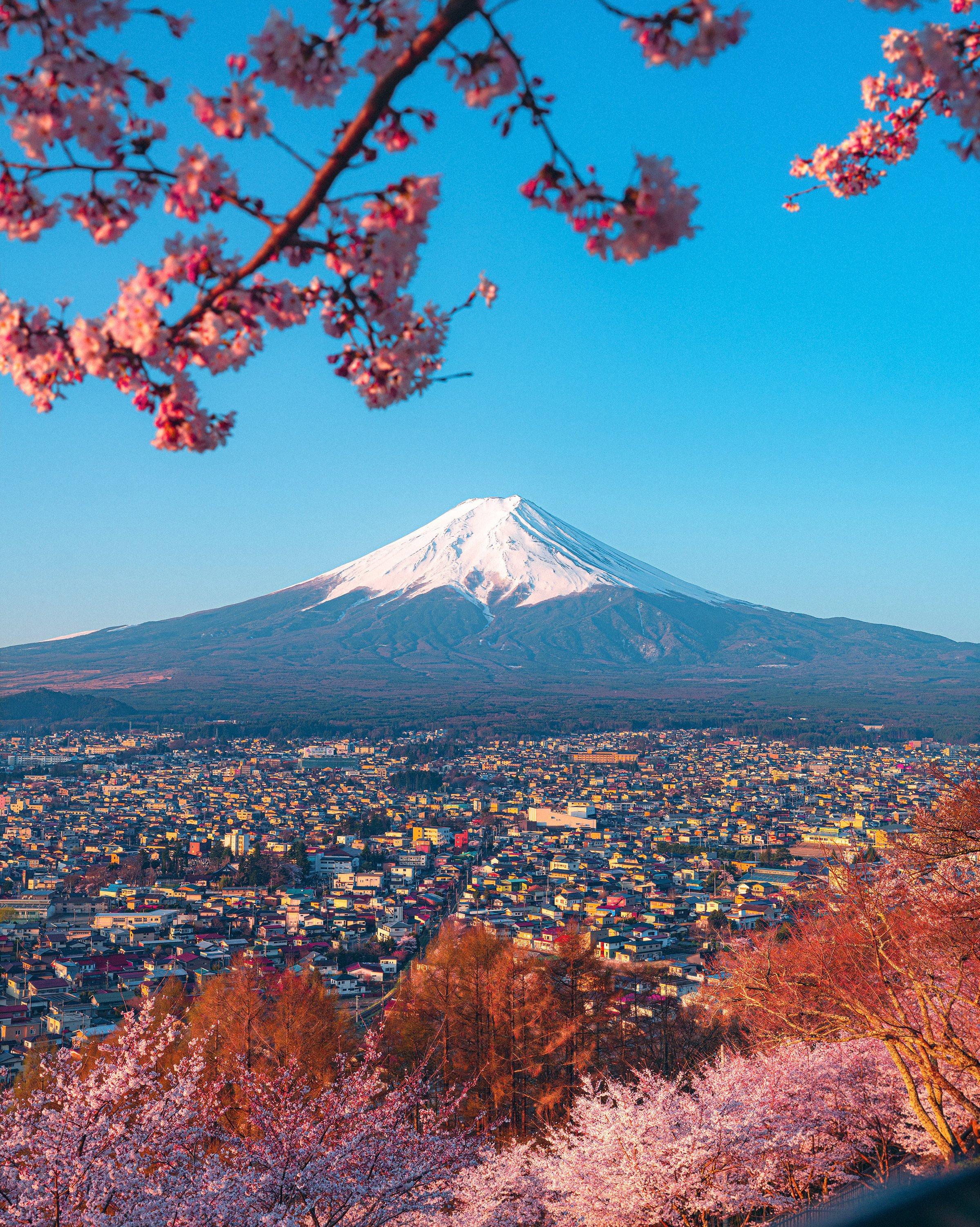 Early morning Fuji 6kiri.jpg