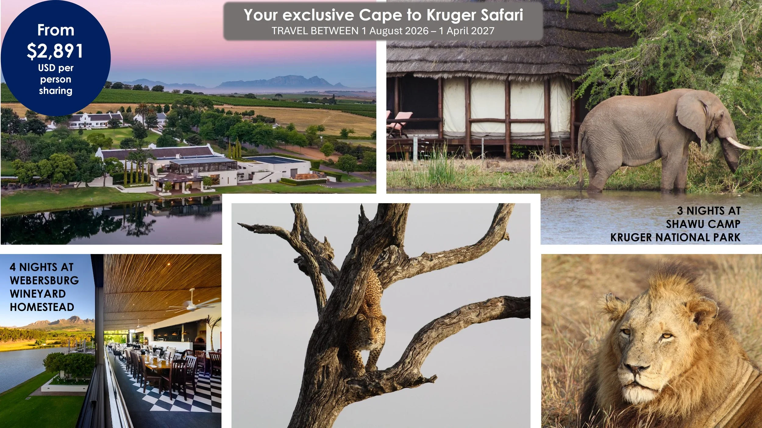 7 Nights: ‘Yours Exclusively 2026 ' Luxury Cape Town & Private Kruger Safari Camp Shawu