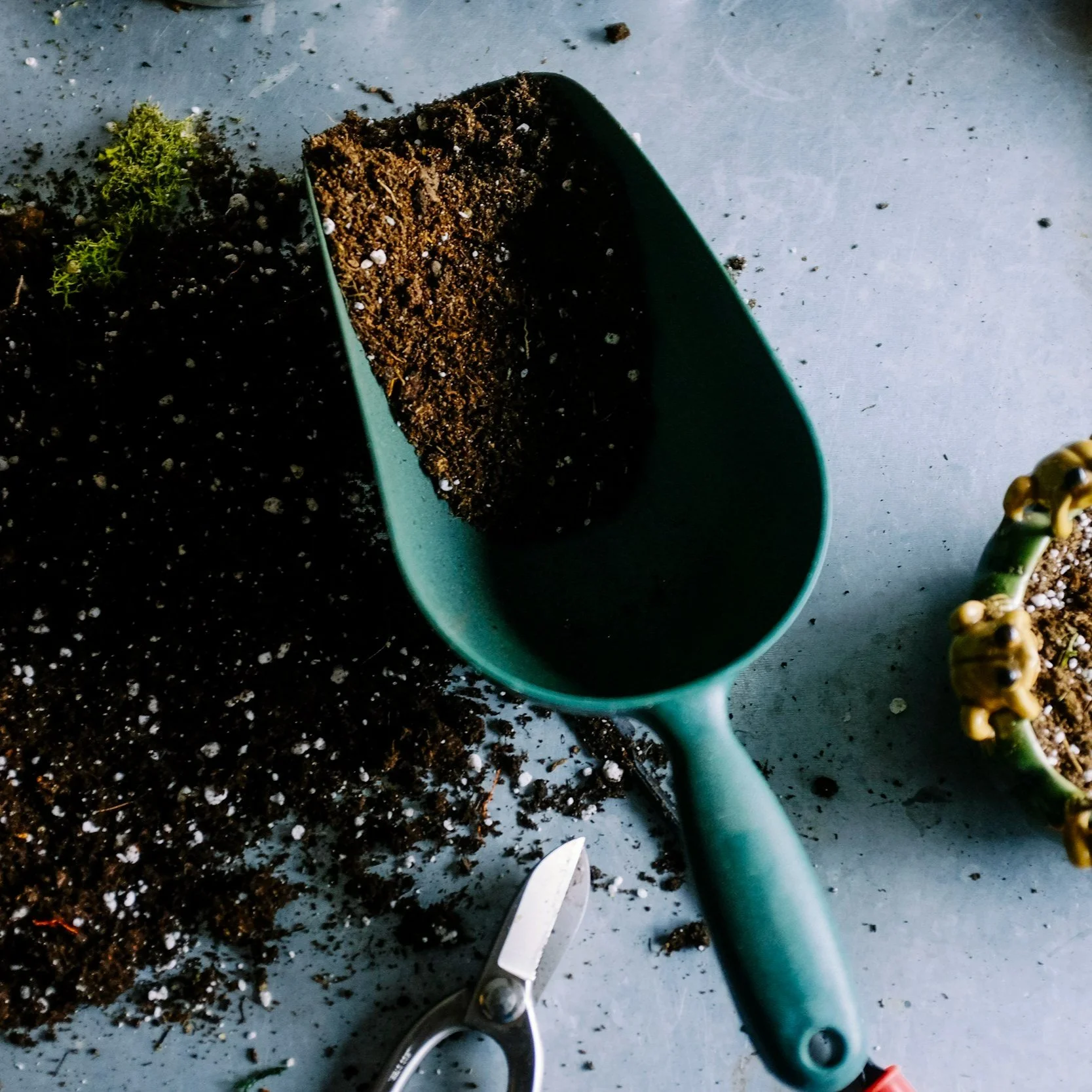 Gardening tools and soil with a green scoop on a gray surface