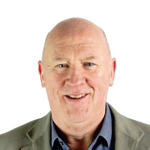 Francis Cummings // Lay Representative to the Diocese