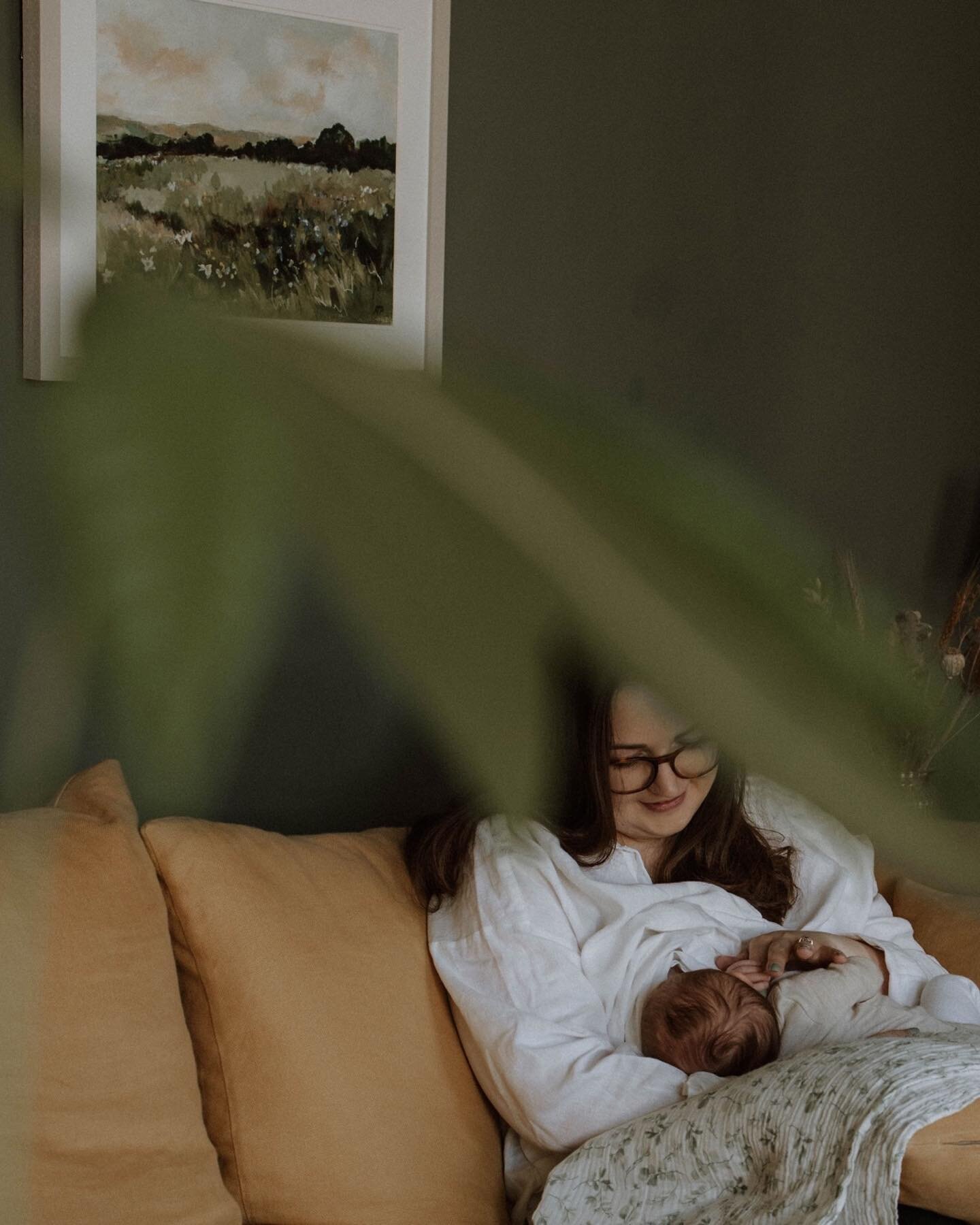 As much as I adore my home studio, there is special magic in an in-home session- especially when it&rsquo;s this gorgeous with the MOST on-brand green that makes my heart flutter 🌿🌾 

Apart from the sheer convenience of not having to leave your new