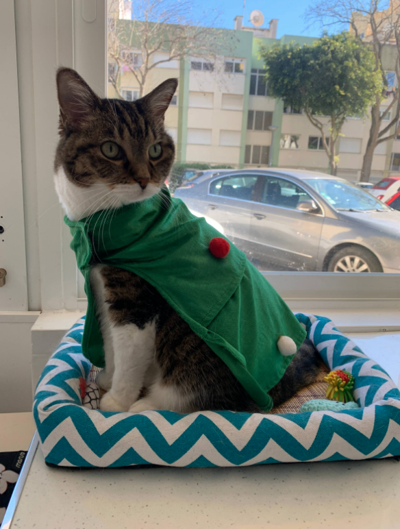 The Magic Waiting For You