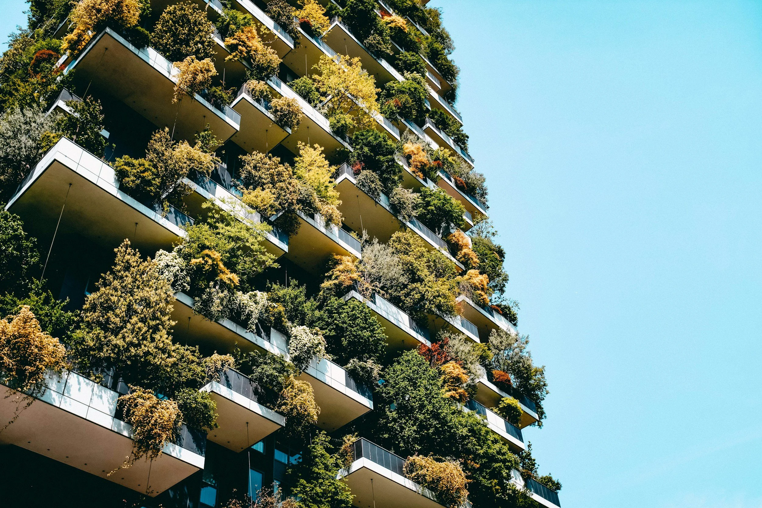 High rise with foliage