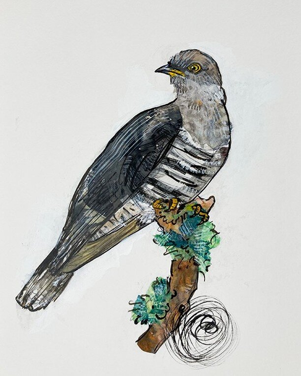 The Cuckoo is back for the summer!