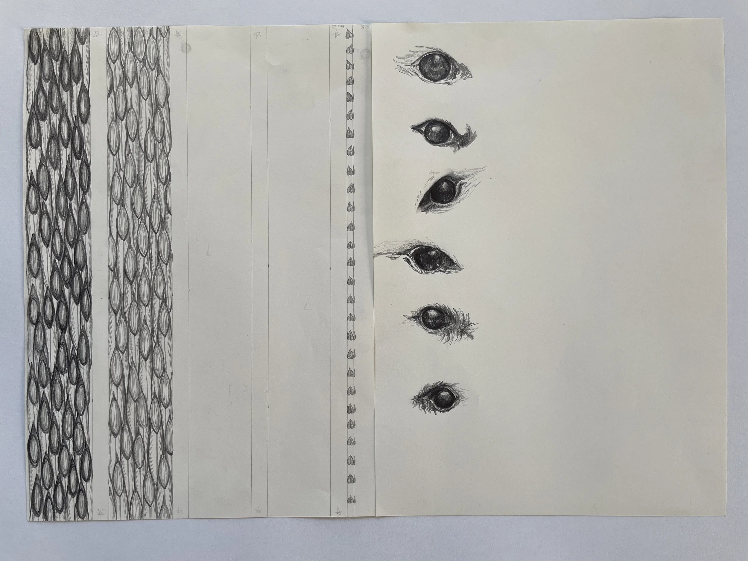 15. Ash key bangle design, fulmars' eye drawings from Shetland.JPG