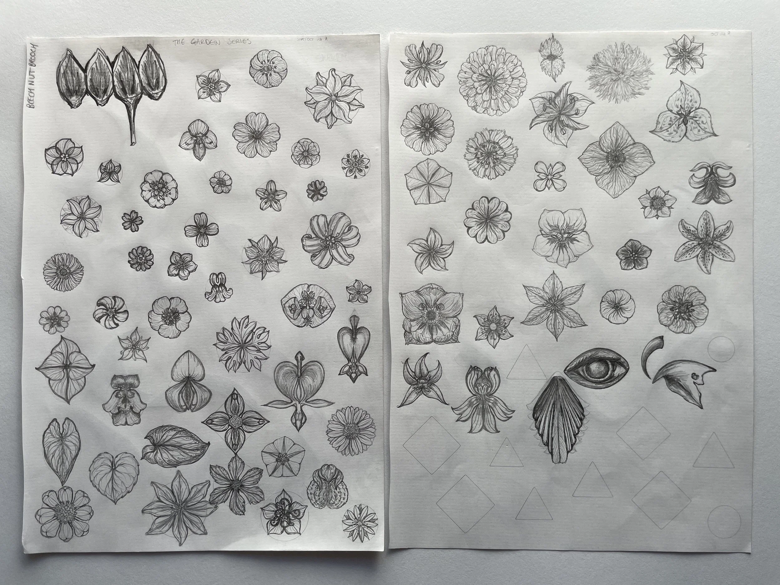 8. Every flower in my suburban garden as a design.JPG