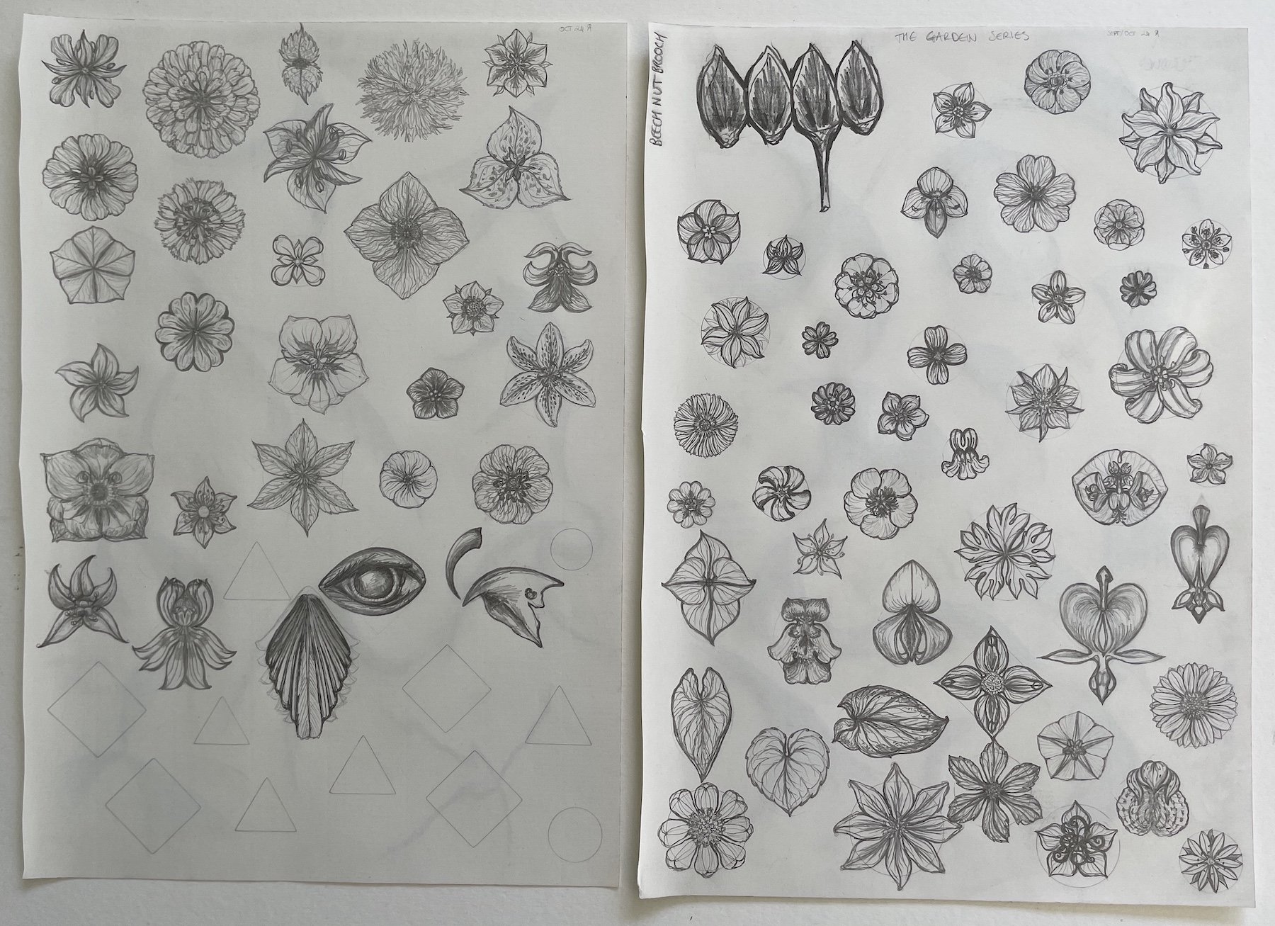 4. OLAFSSON, ANNA. Garden series drawings 2024.JPG