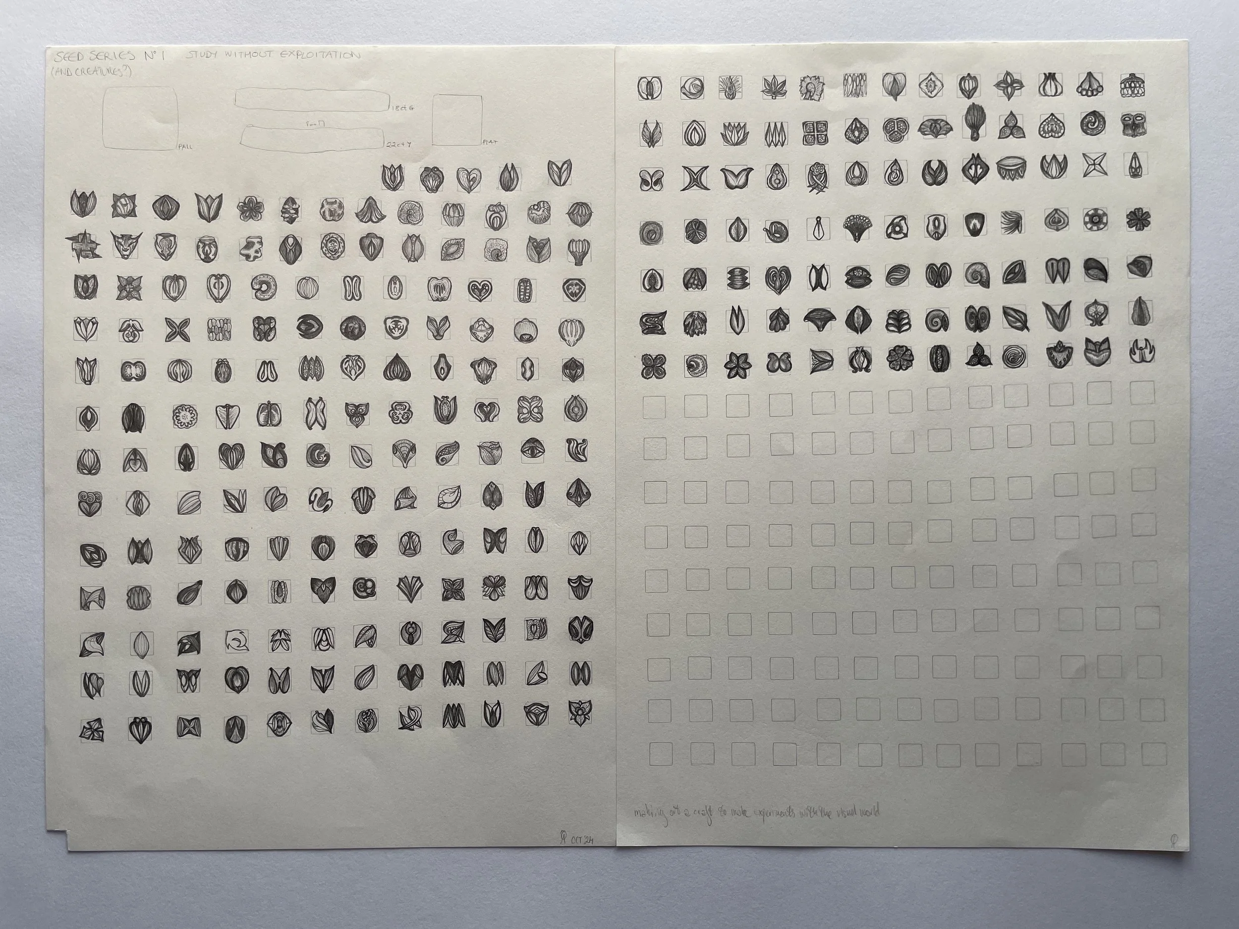 6. Seed form designs 10mm.JPG