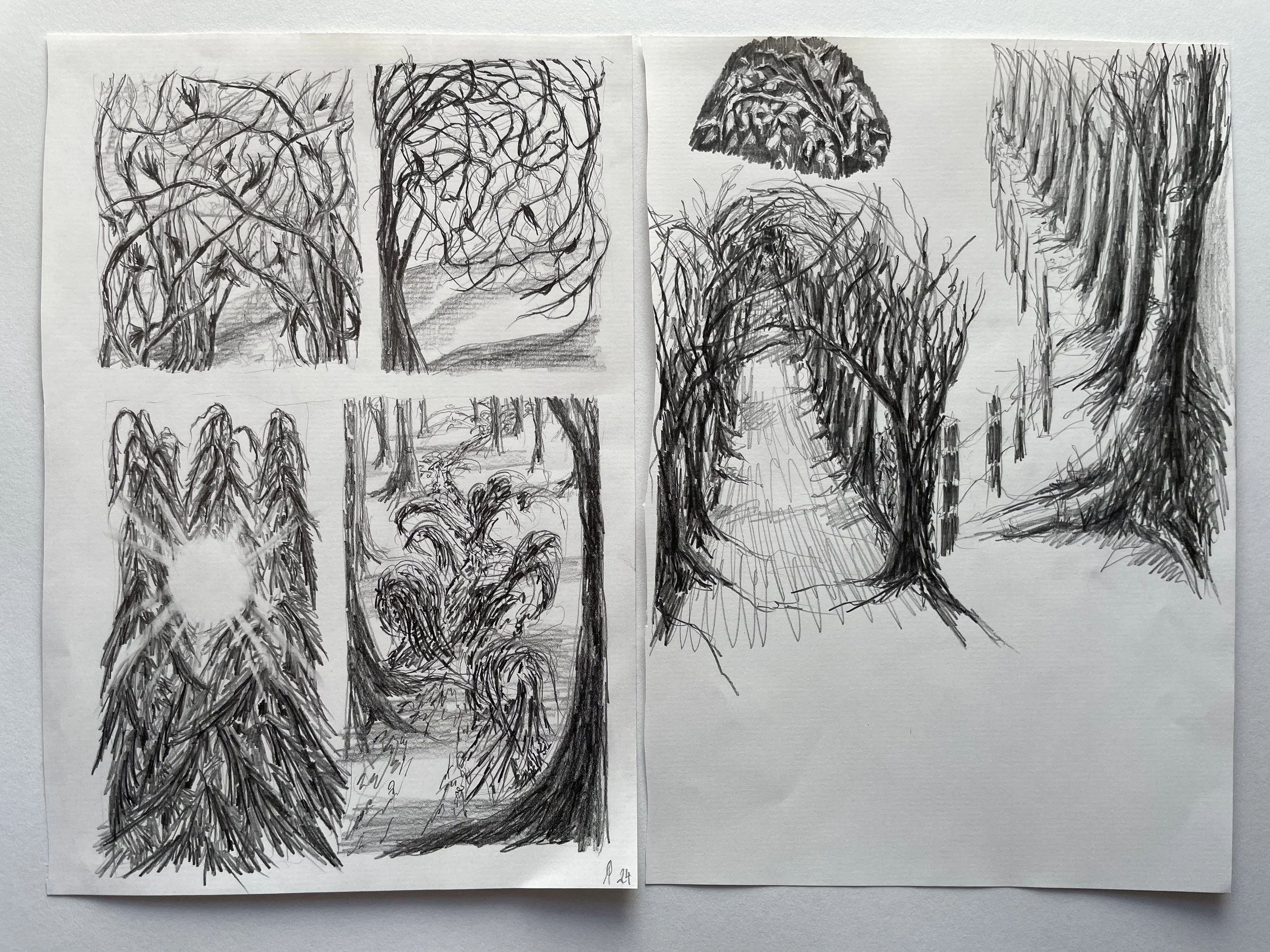 13. Forest studies.JPG