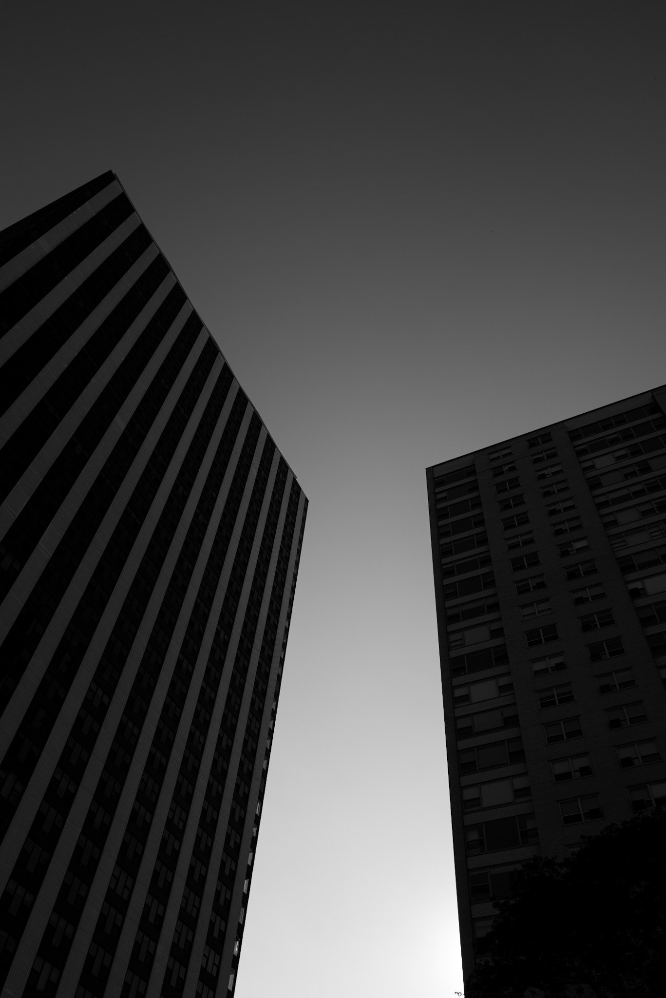 L1001327.jpg