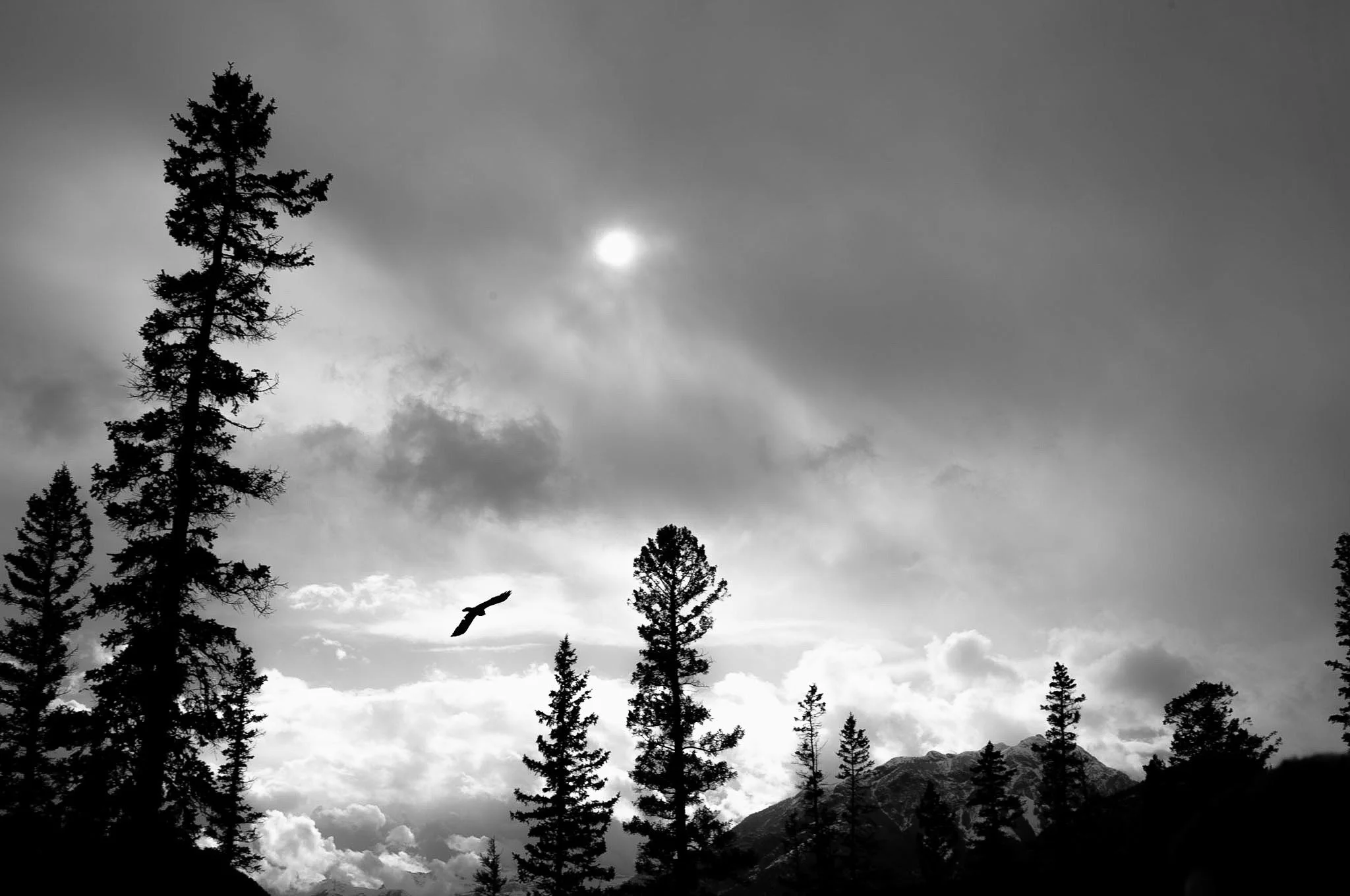L1001134.jpg