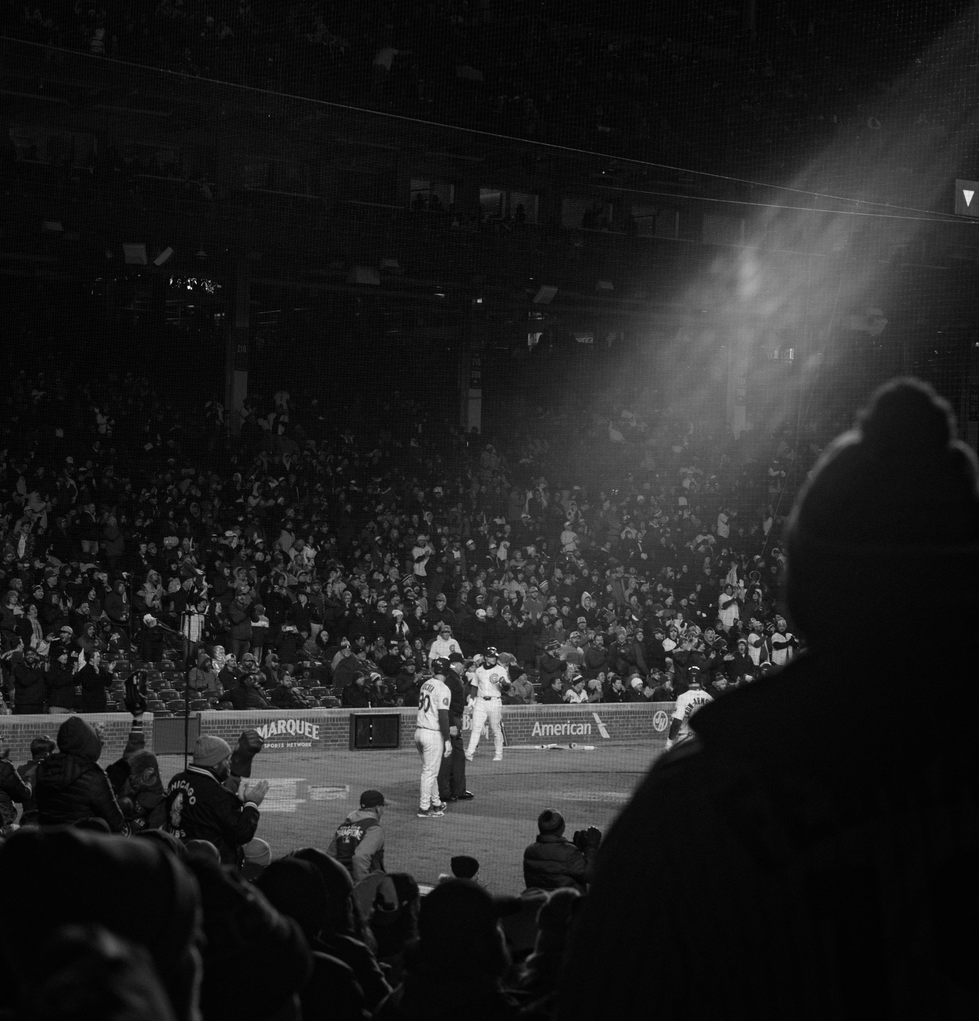 L1005849.jpg