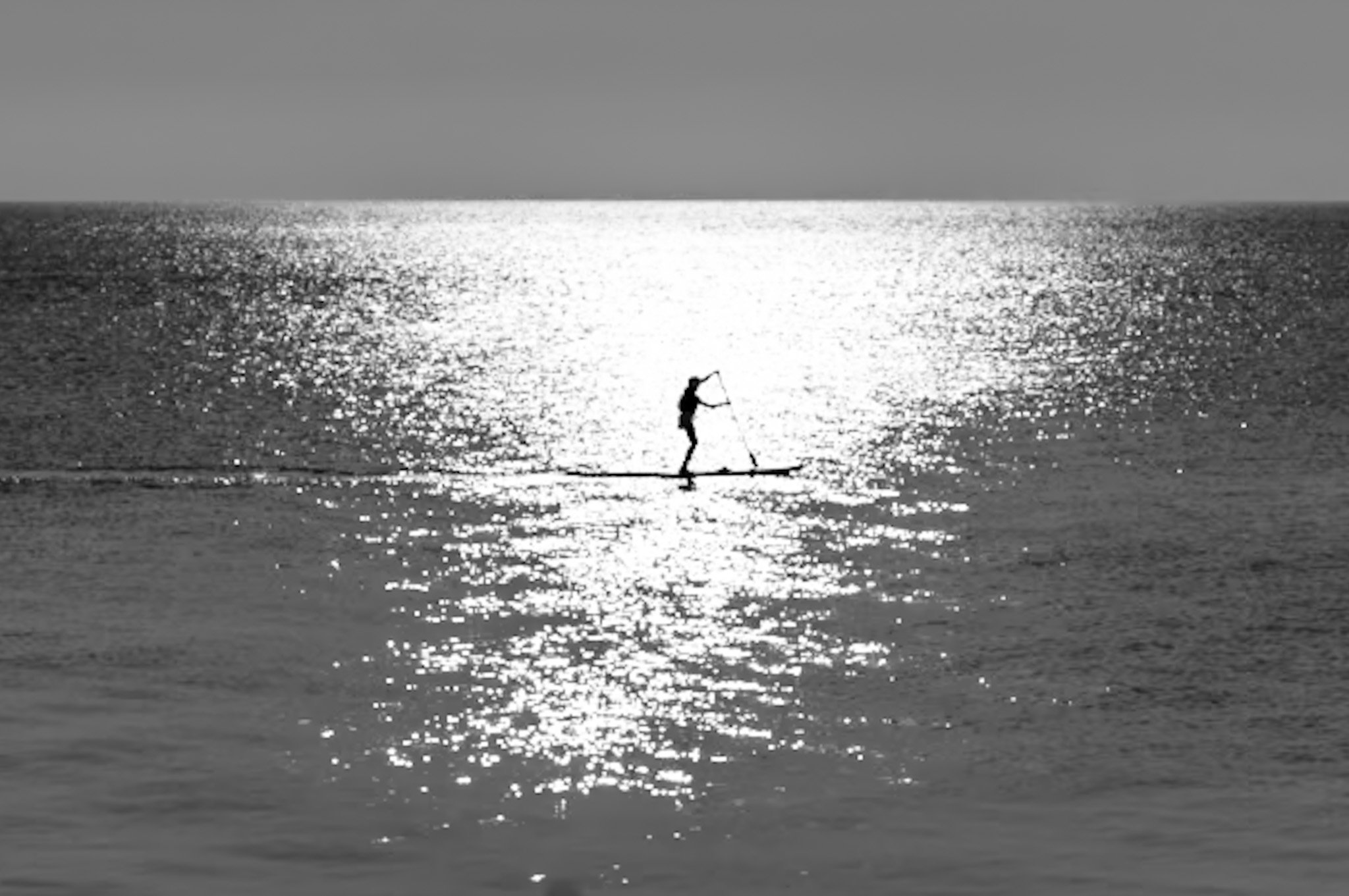 L1004886.jpg
