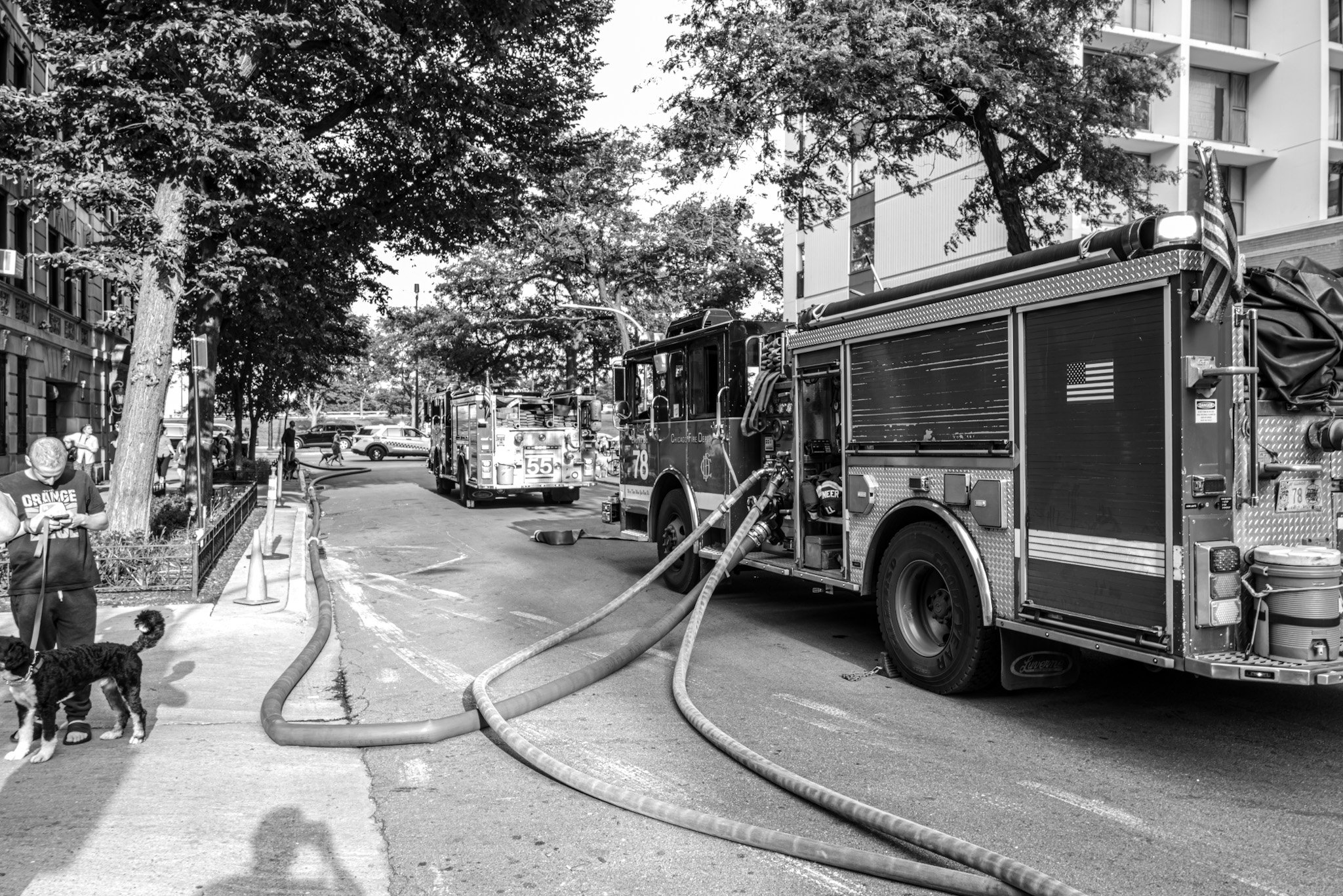 L1000656.jpg