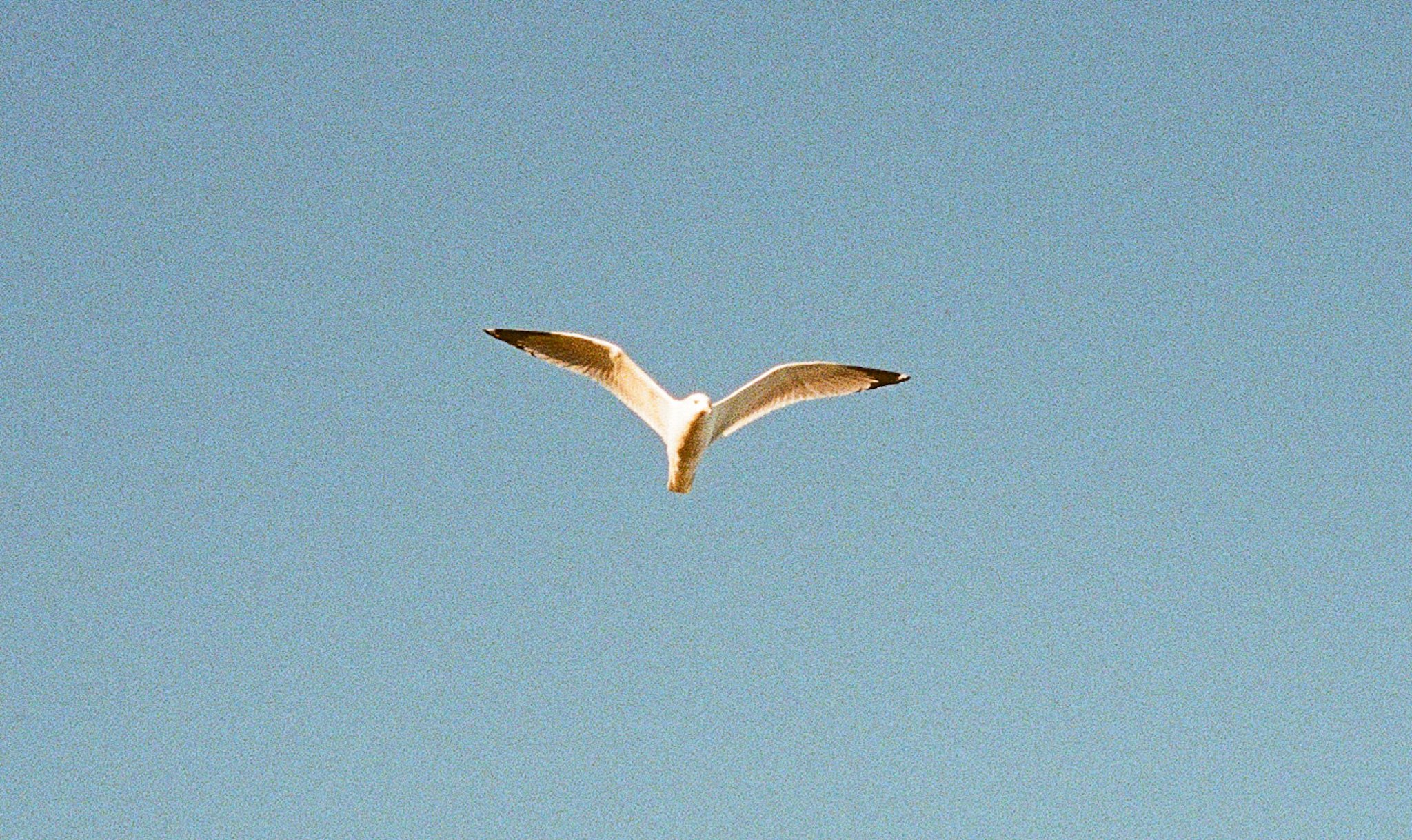 IMG_1935.JPG