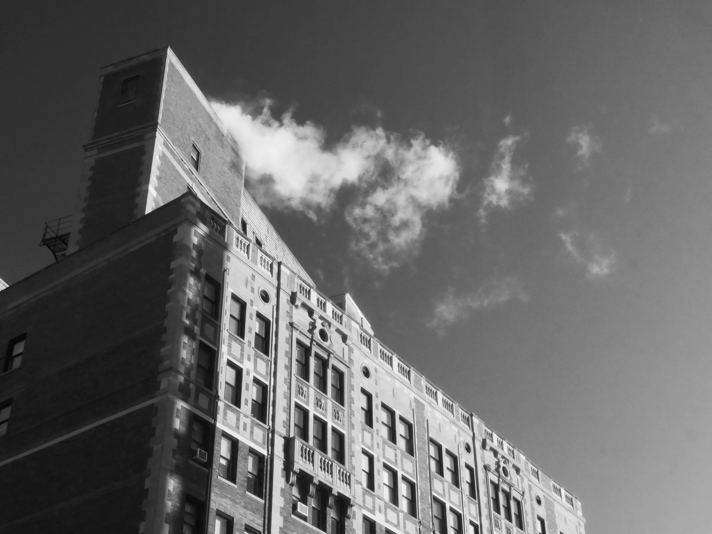 _1030569.JPG