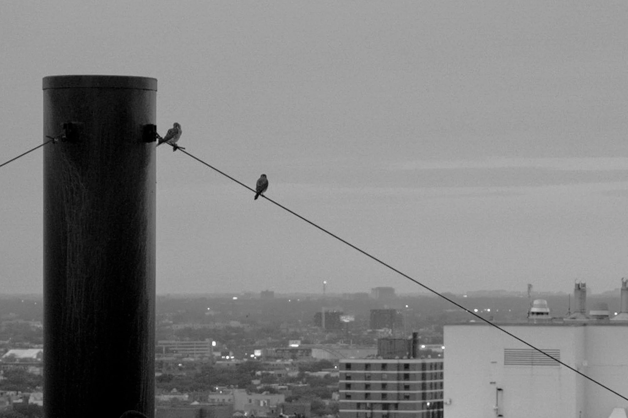 DSCF6911.jpg