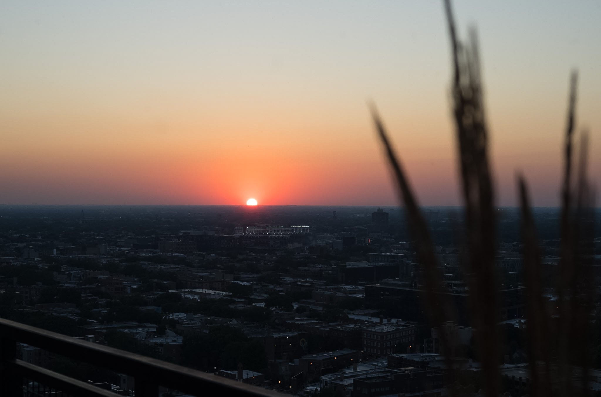 L1003973.jpg