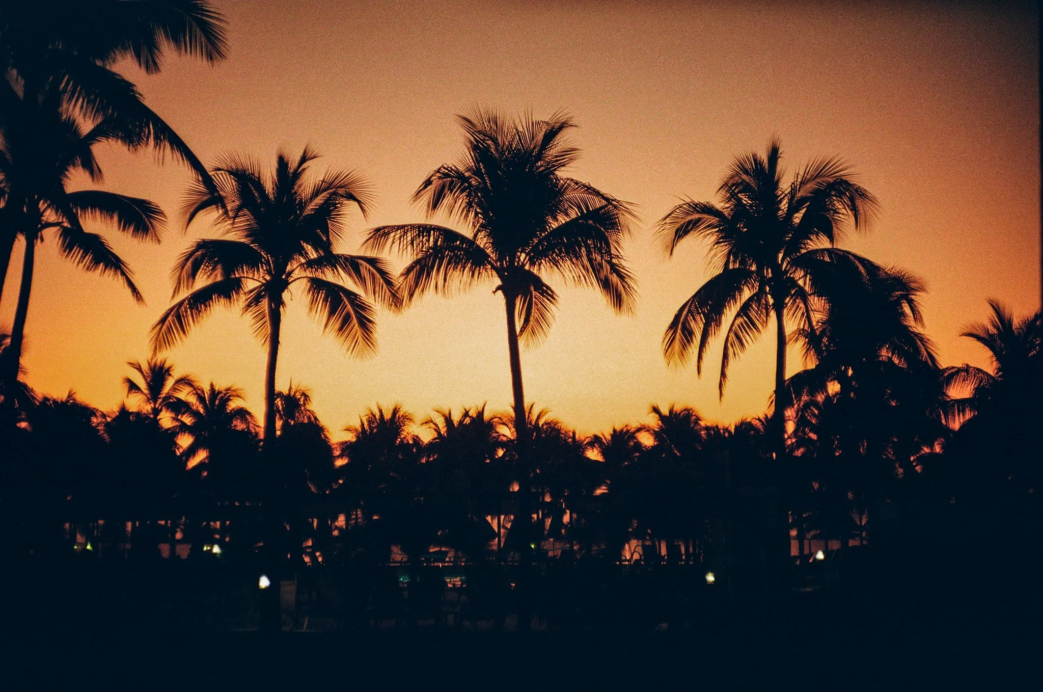 7292 012425 3-011.jpg