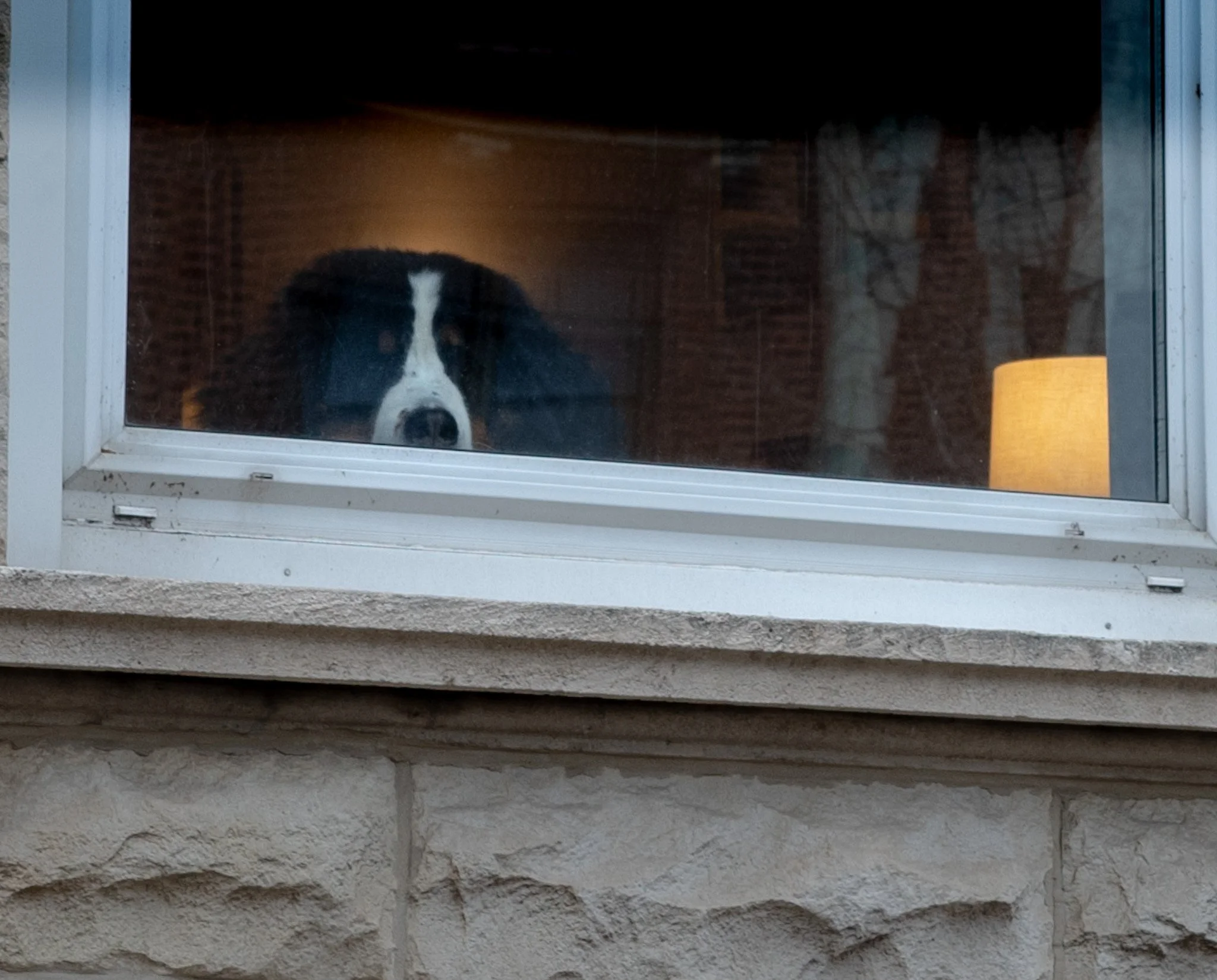 R0001776.jpg