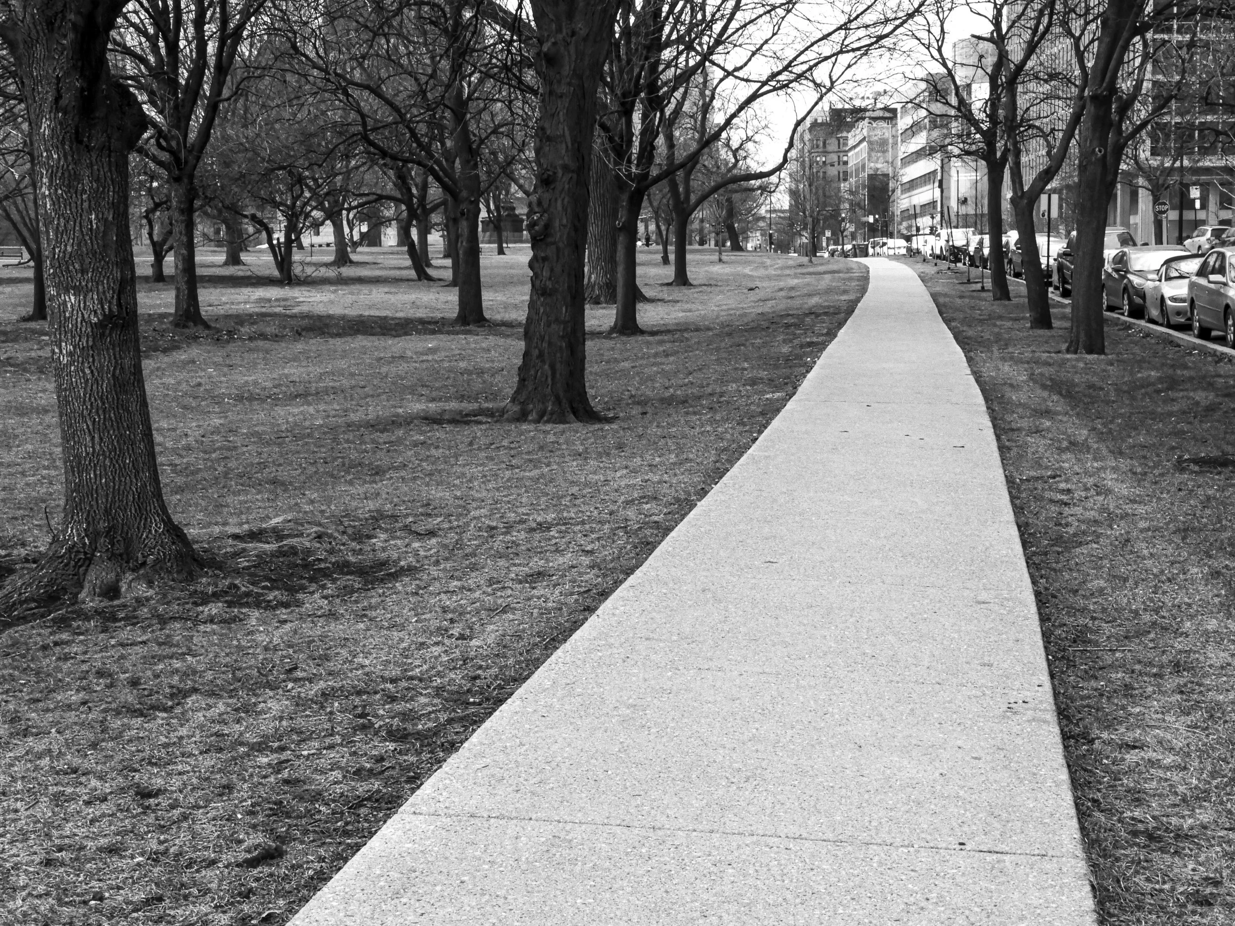 _1030998.JPG