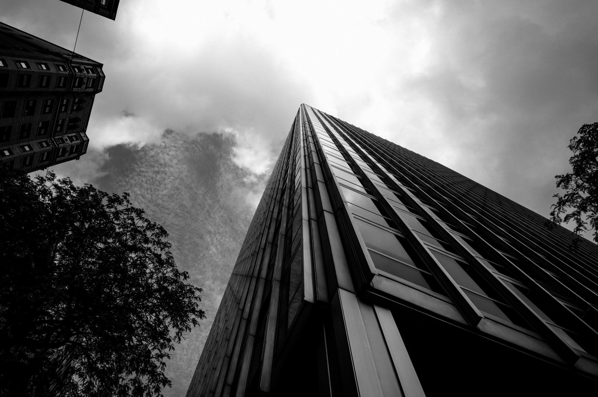 L1002346.jpg
