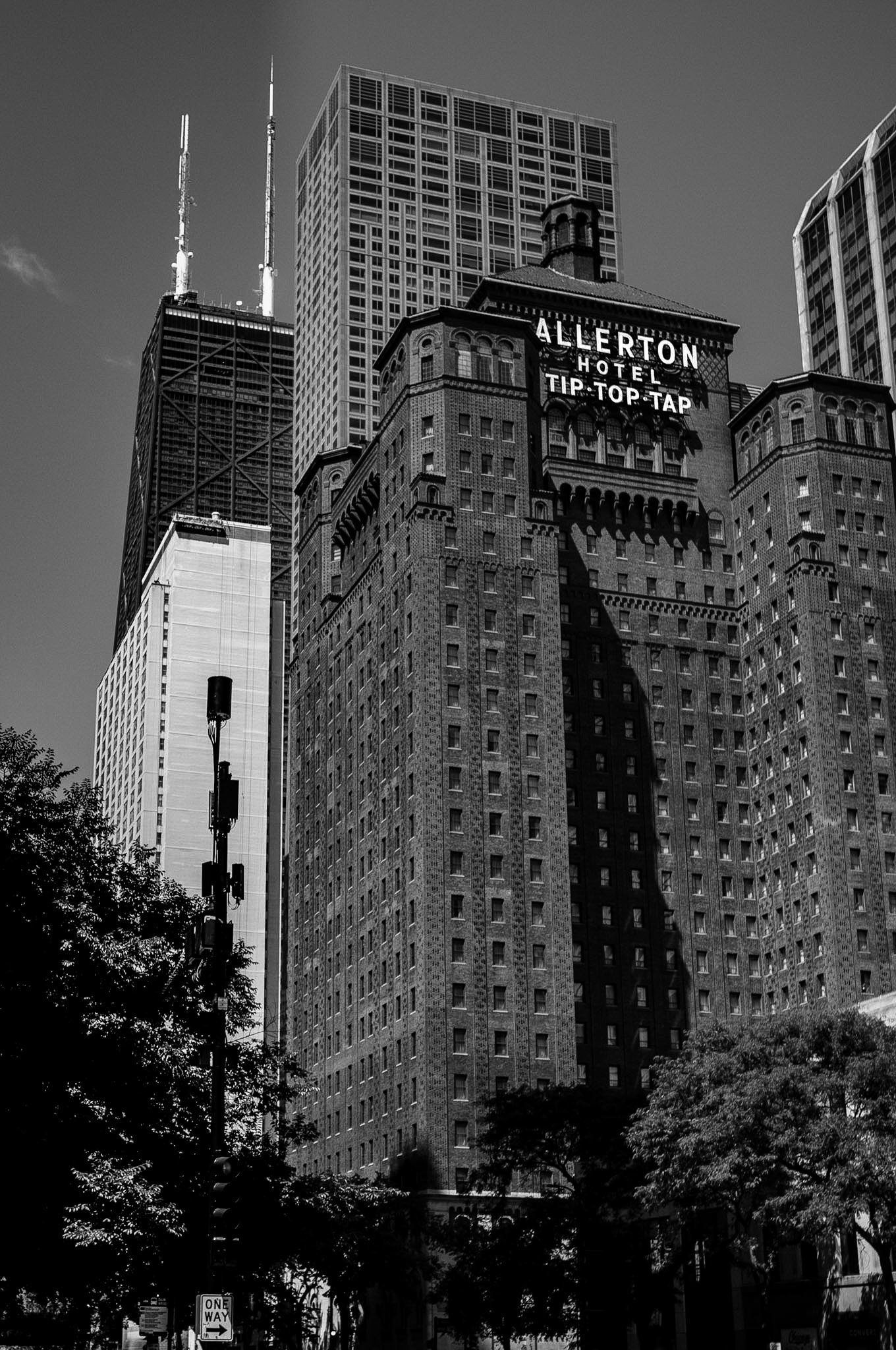 L1004034.jpg