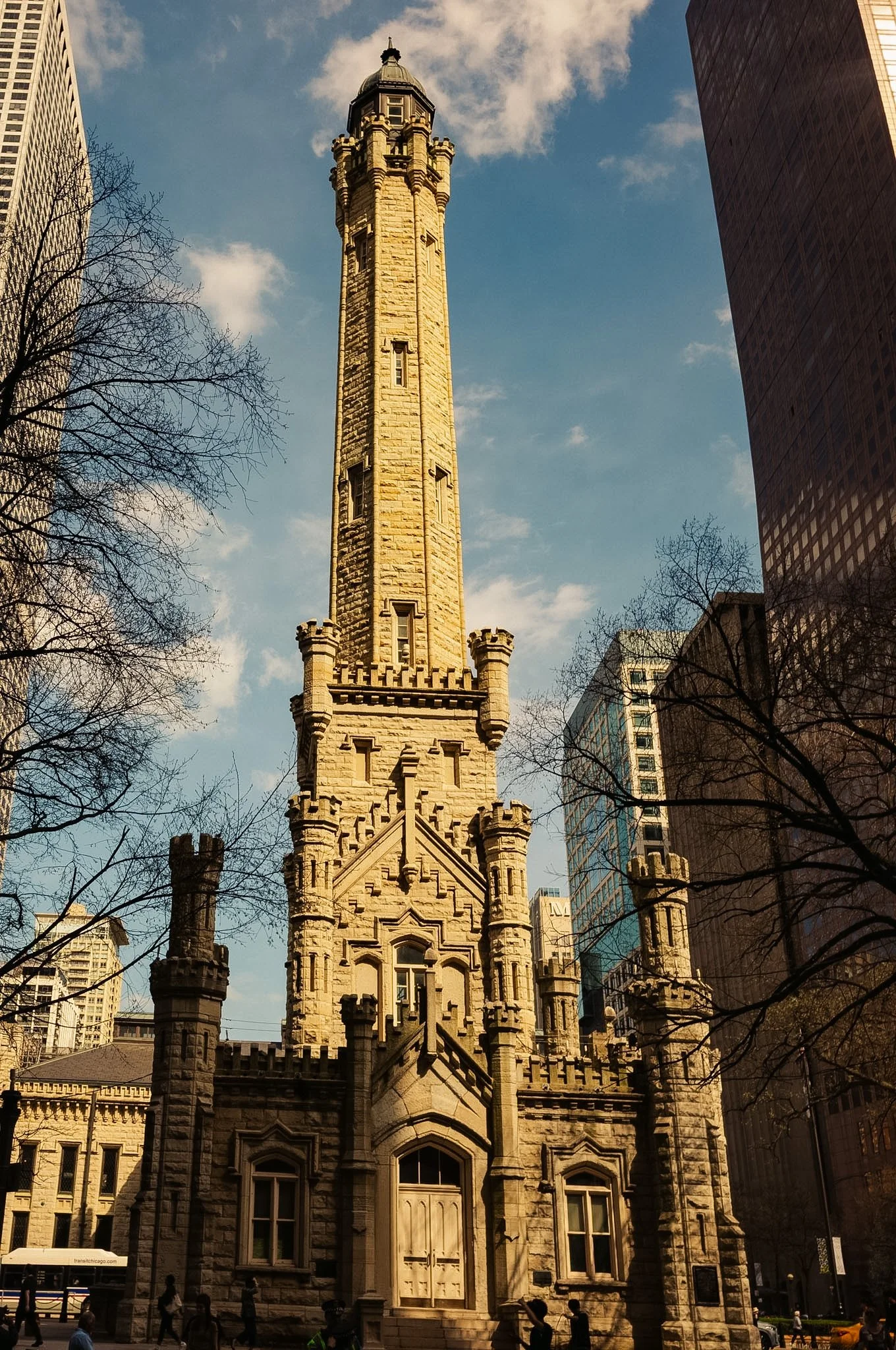L1009503.jpg