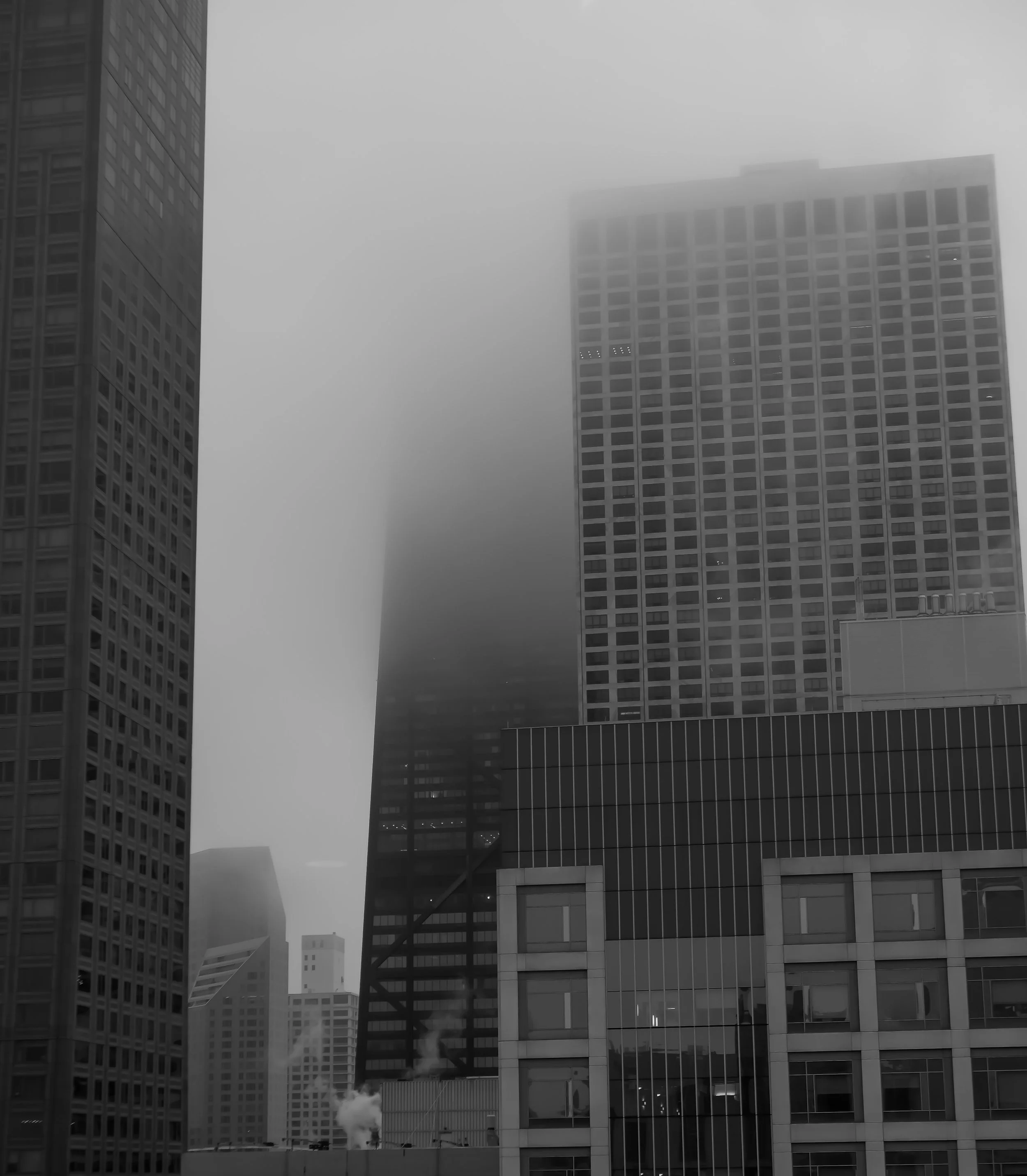 _1032304.JPG
