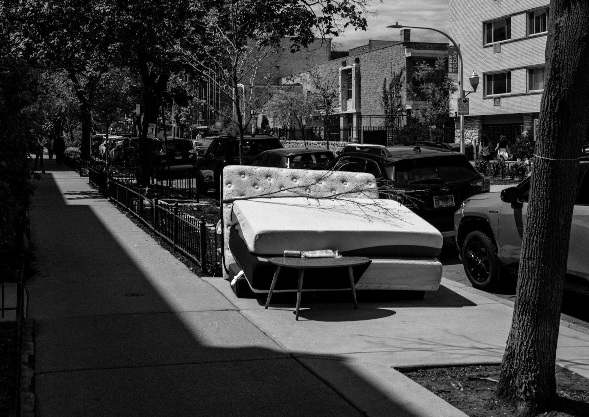 L1000688.jpg