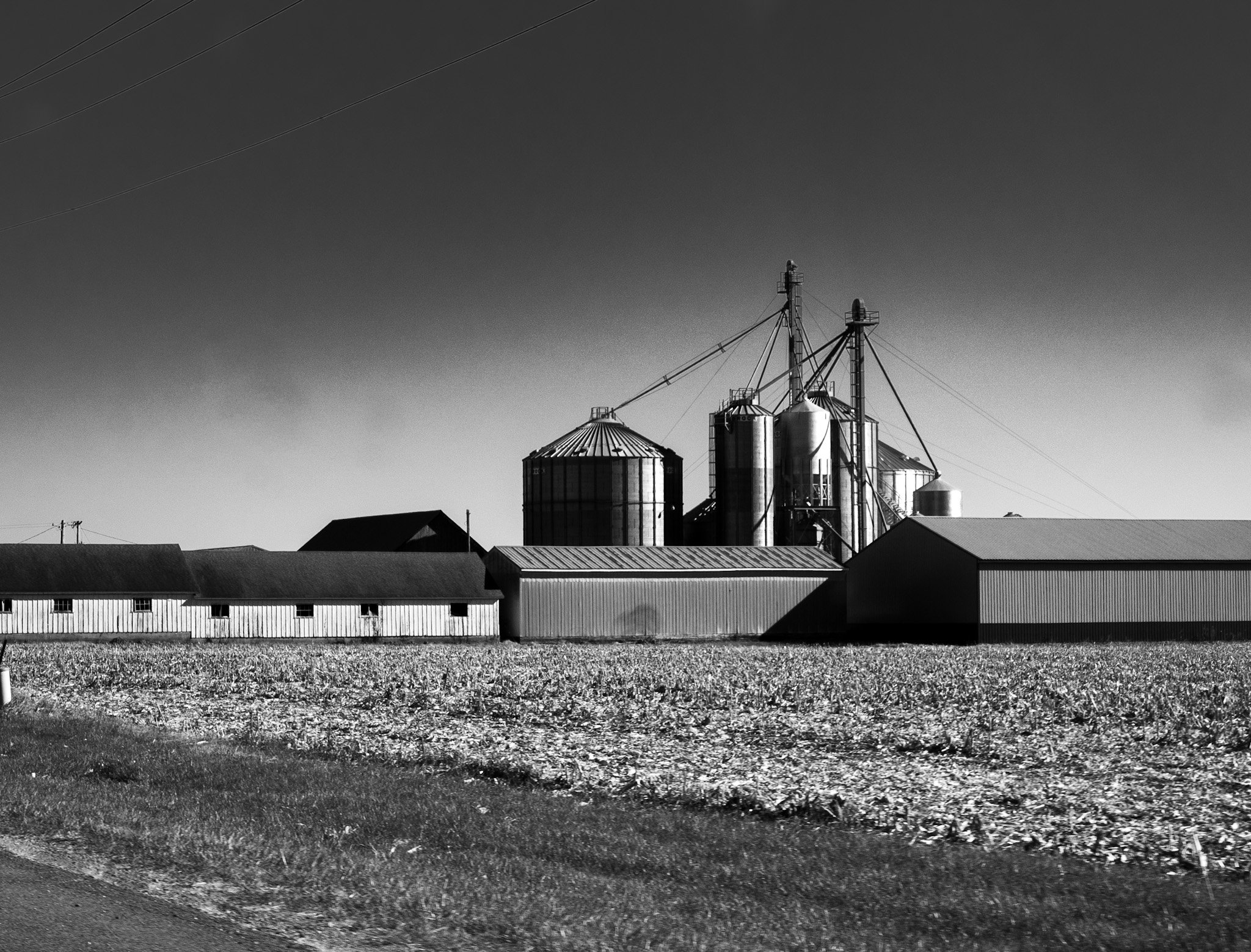 R0004781.jpg