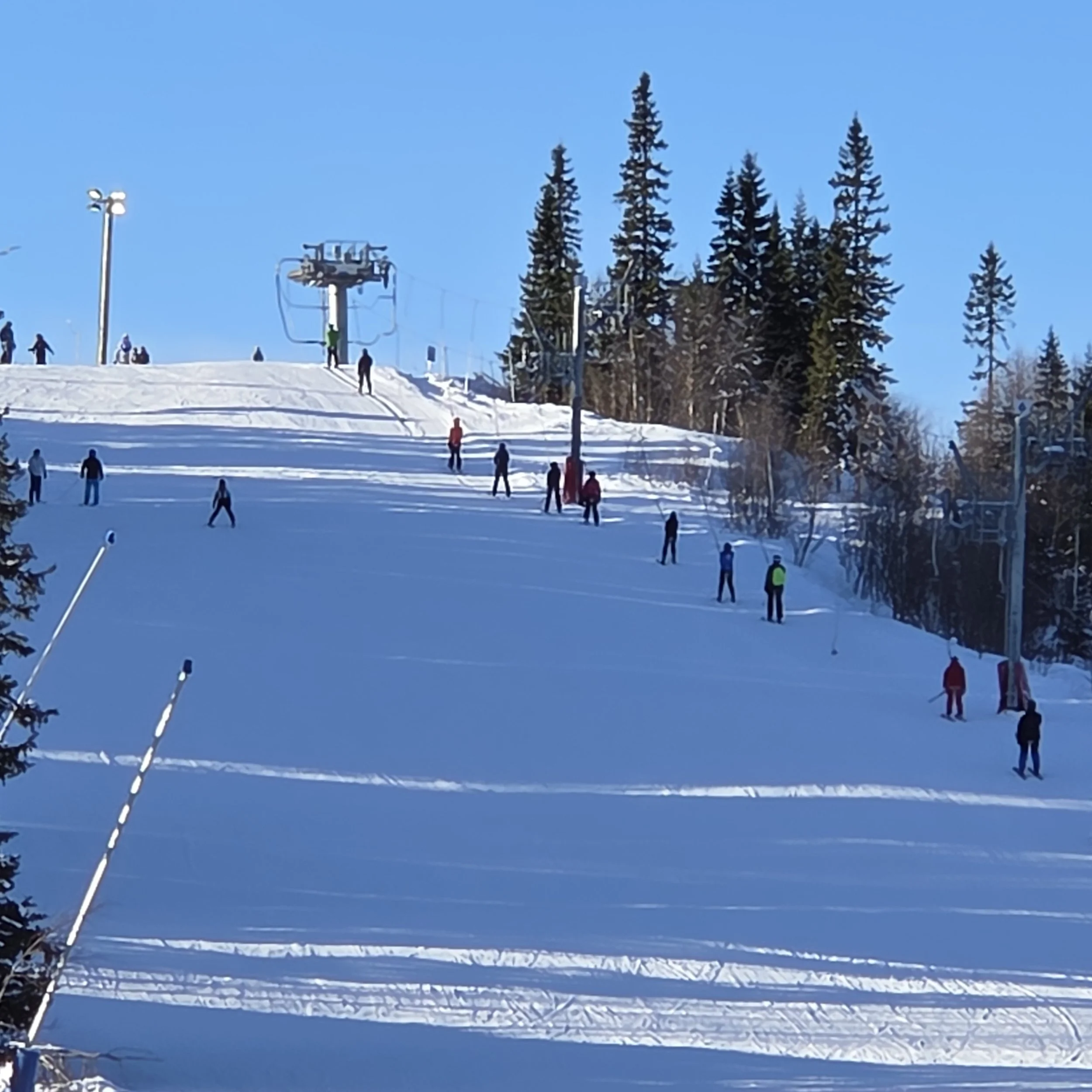 20260215_132311.jpg