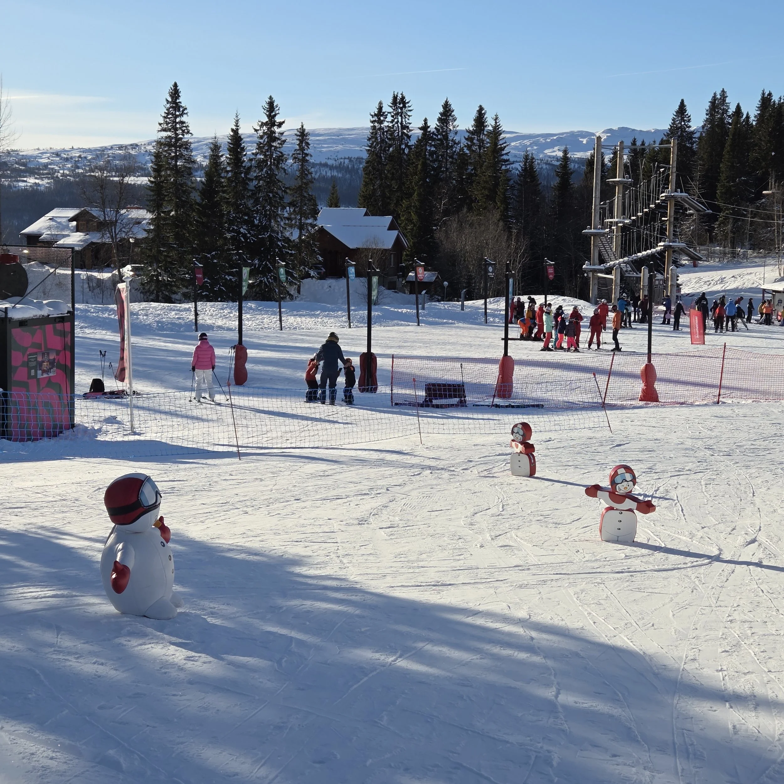 20260215_131815.jpg