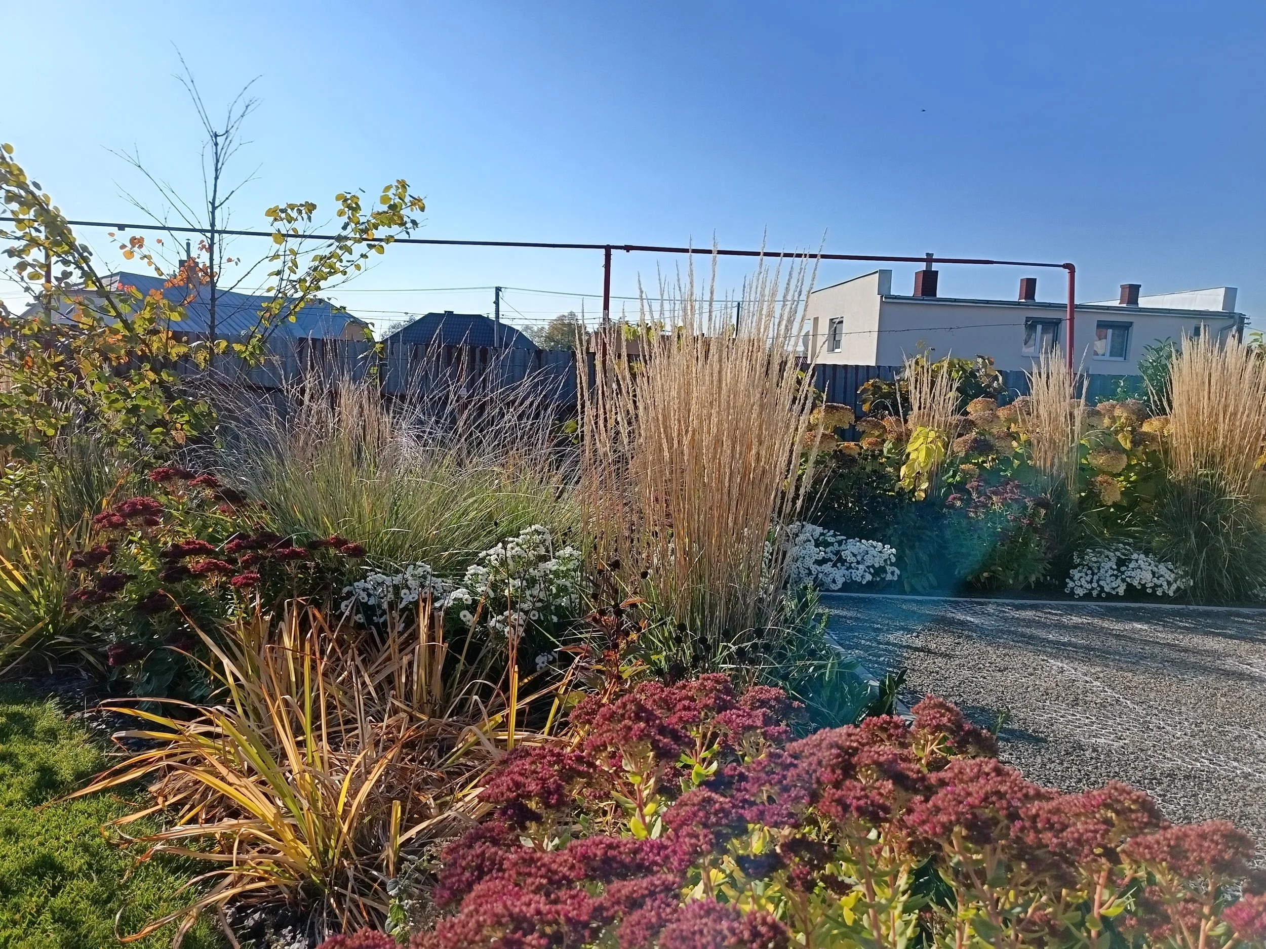 IMG_20251020_095448 (1).jpg