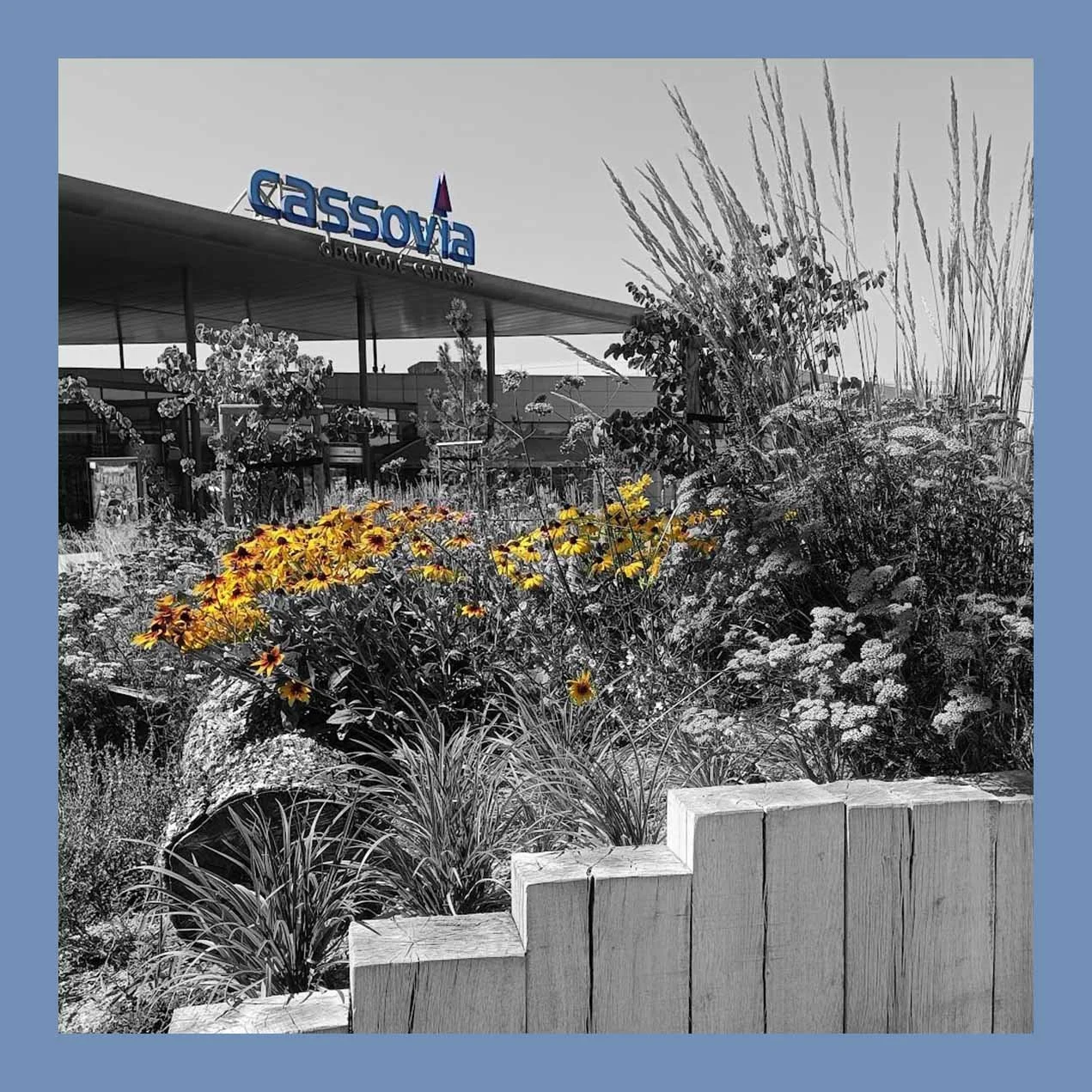 KOŠICE - OC CASSOVIA
