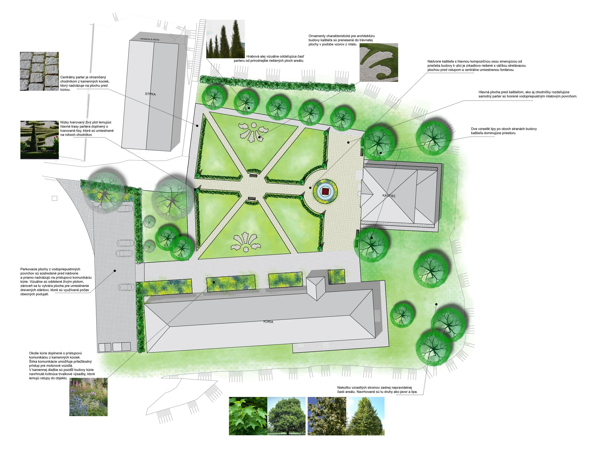 Kastiel Budimir _ Variant1.jpg