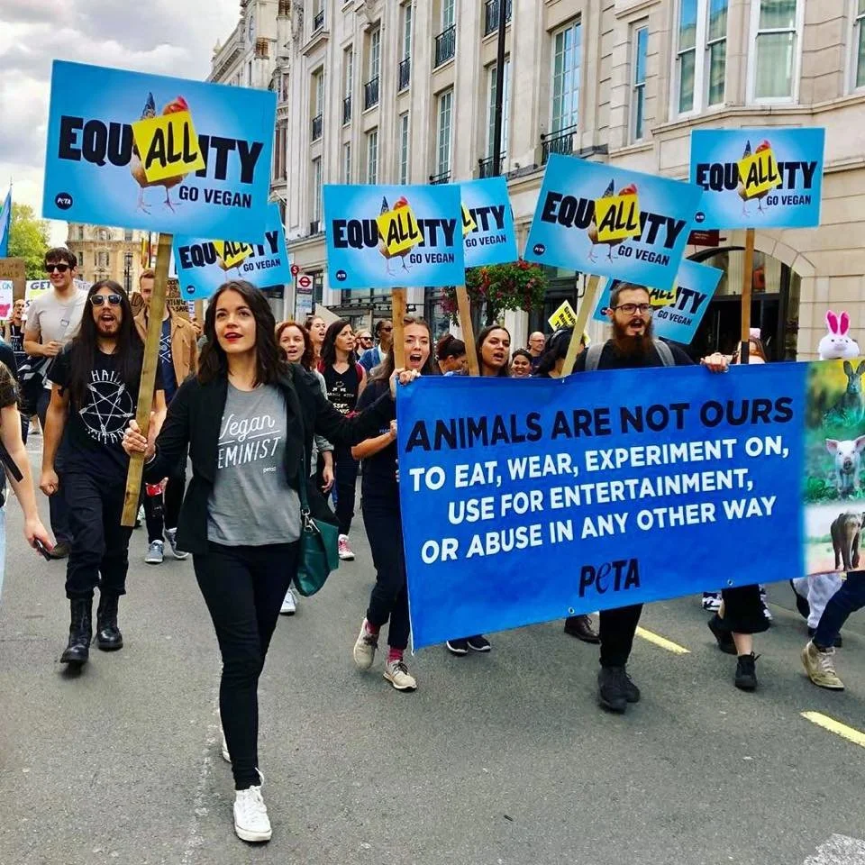 How to Find Your Voice as an Activist