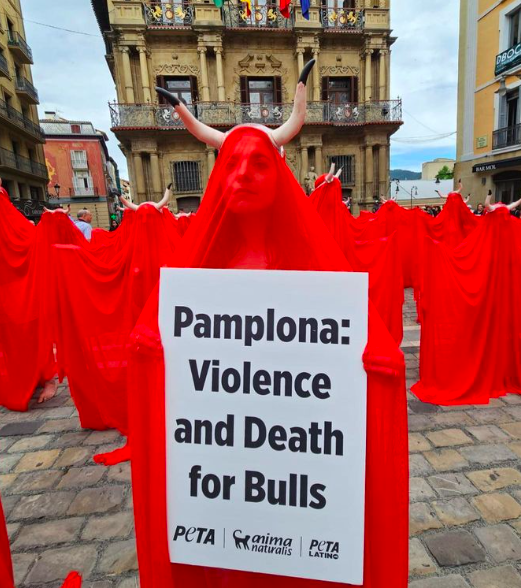 Why I stood naked in a Spanish square to protest bullfighting