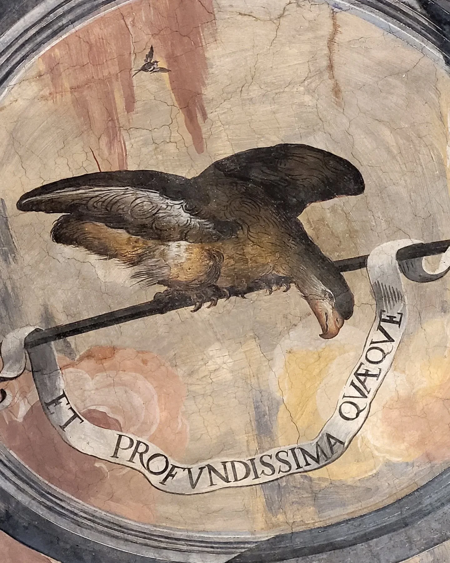 Milan Design Week 2025
personal shortlist

"ET PROFUNDISSIMA QUAEQUE"
"And even the most profound [things]"

The eagle&rsquo;s keen sight is a metaphor for penetrating the deepest mysteries or truths. 

The ceiling fresco, from th