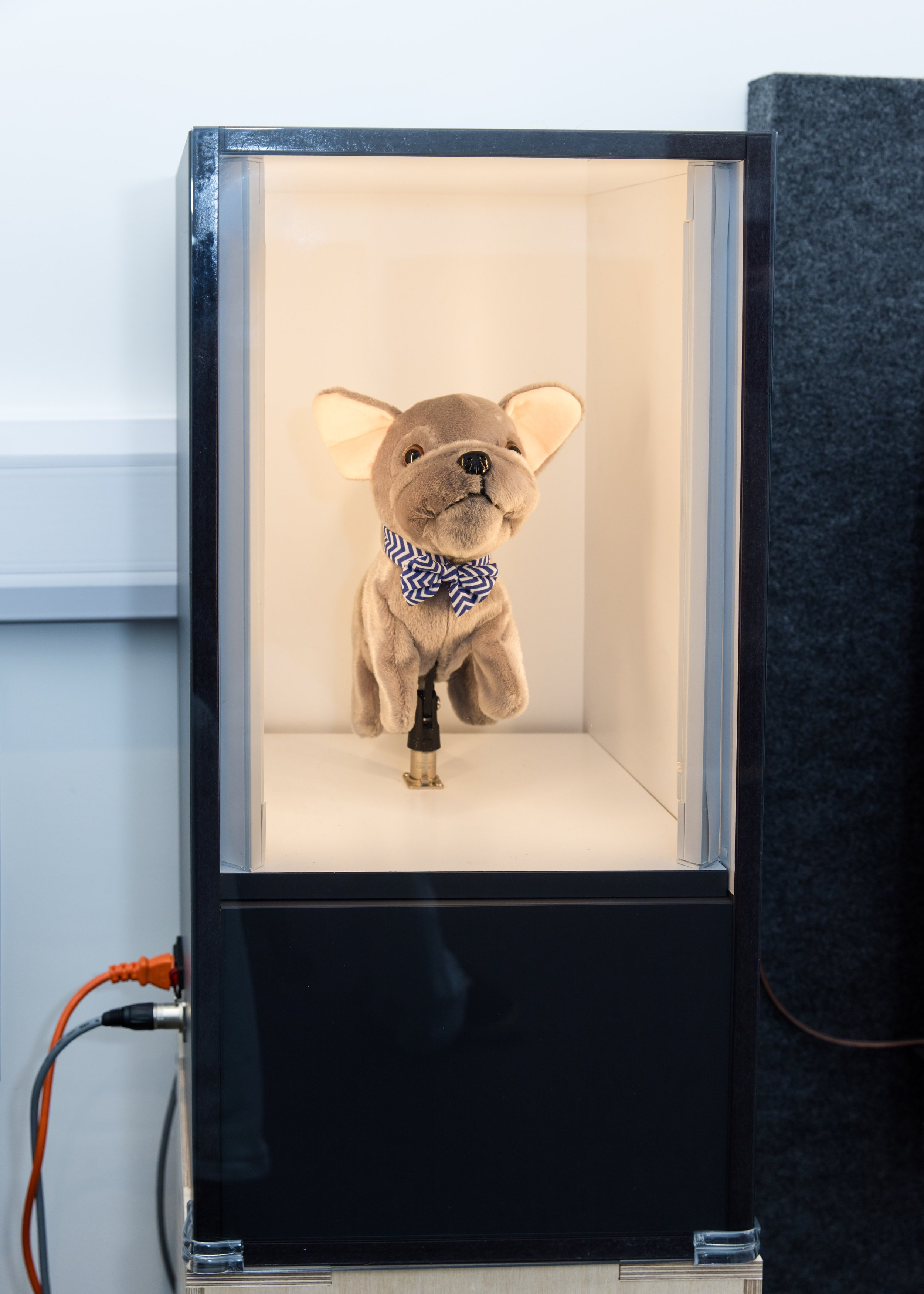 Tracey James Hearing-33.jpg