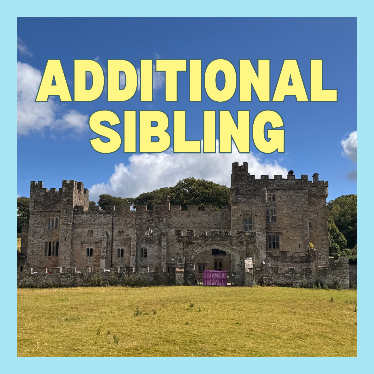 Additional Sibling