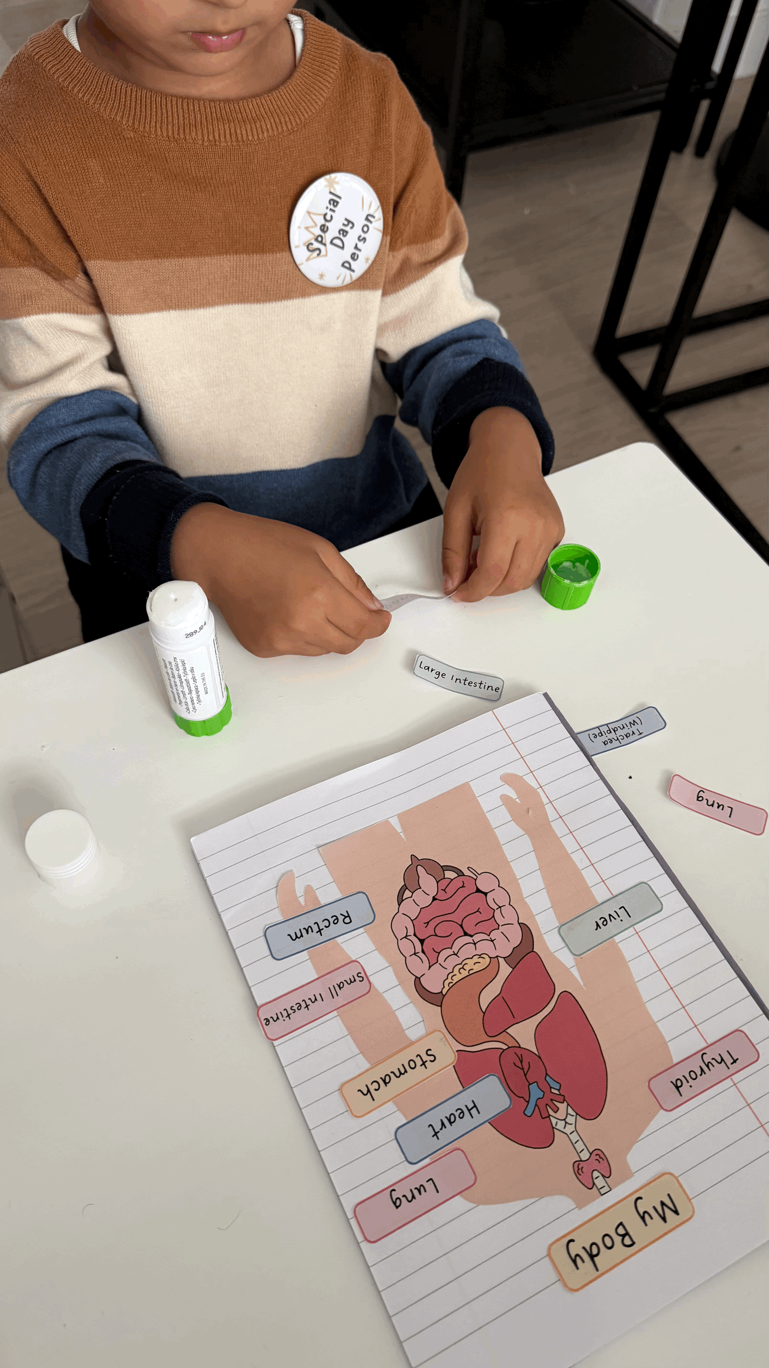 Human Body Labelling Activity