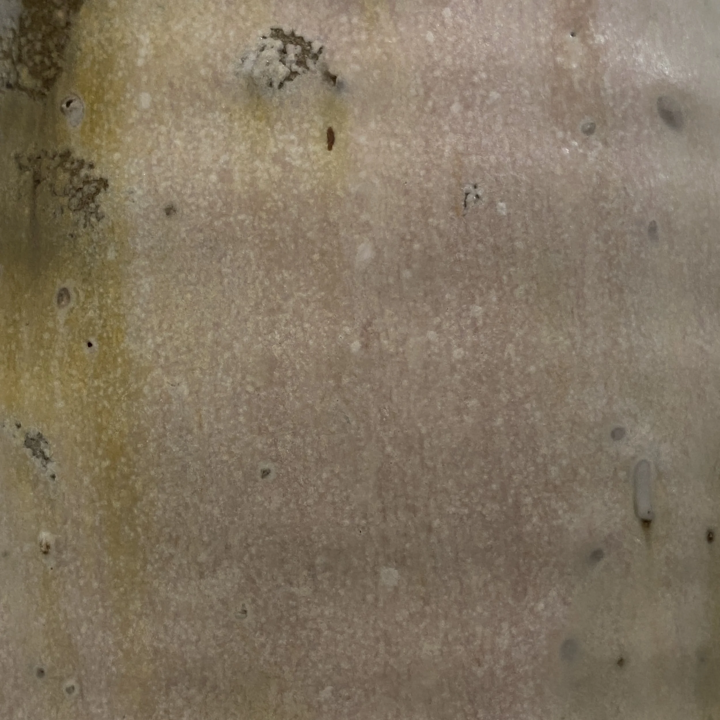 021D0A89-D1D8-40F0-9C60-18775CE95A7B.jpeg