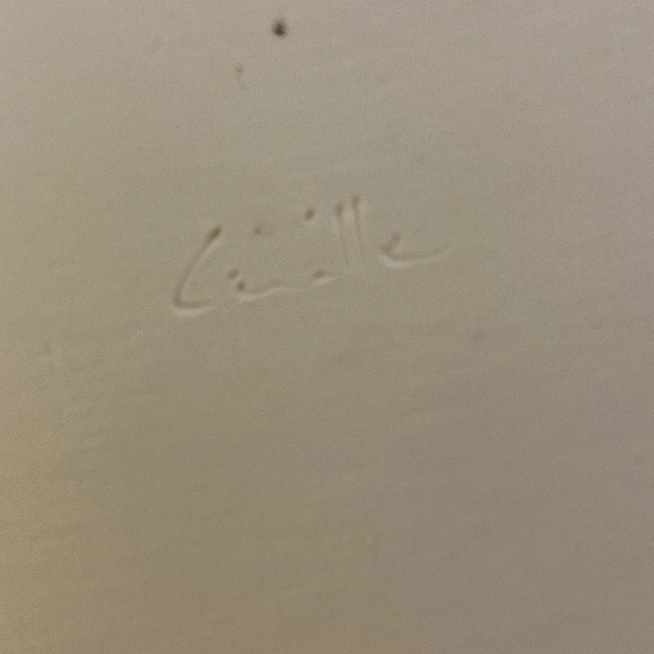 372ED0DC-77B7-456C-B1E5-DBF5BB2E163B.jpeg